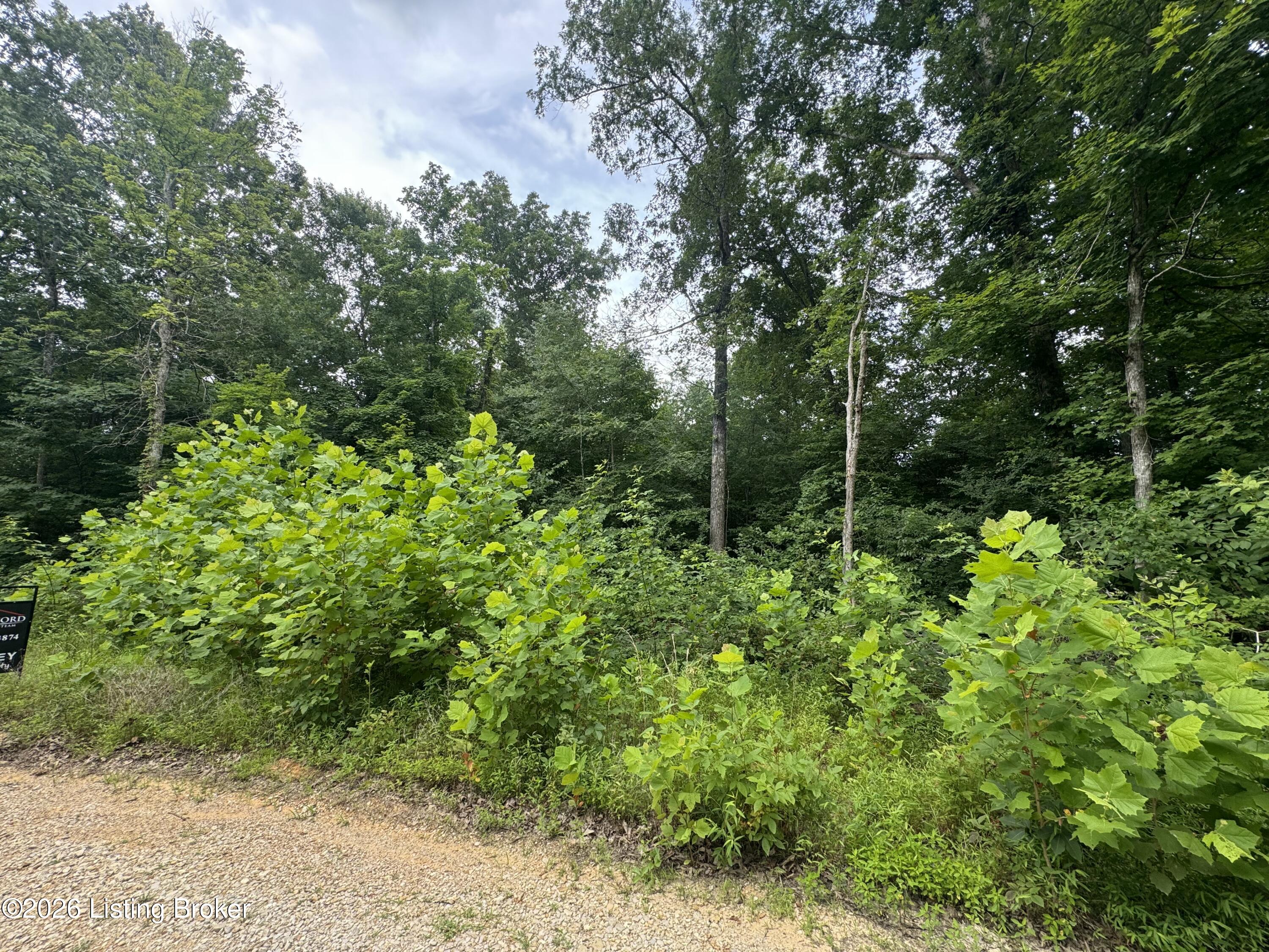 0 Ted Logsdon Rd Property Photo 4