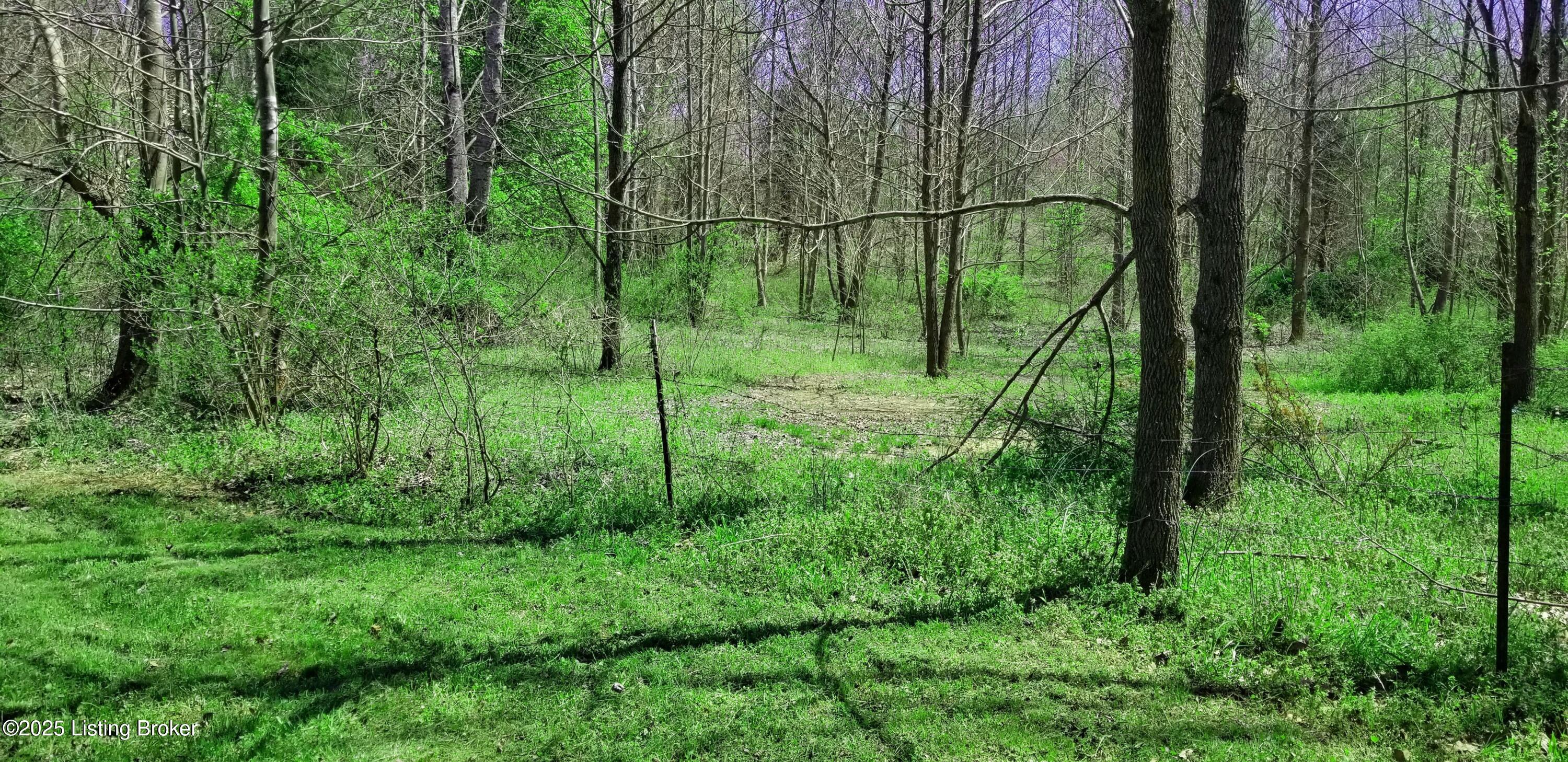 555 Fields Ln Property Photo 9
