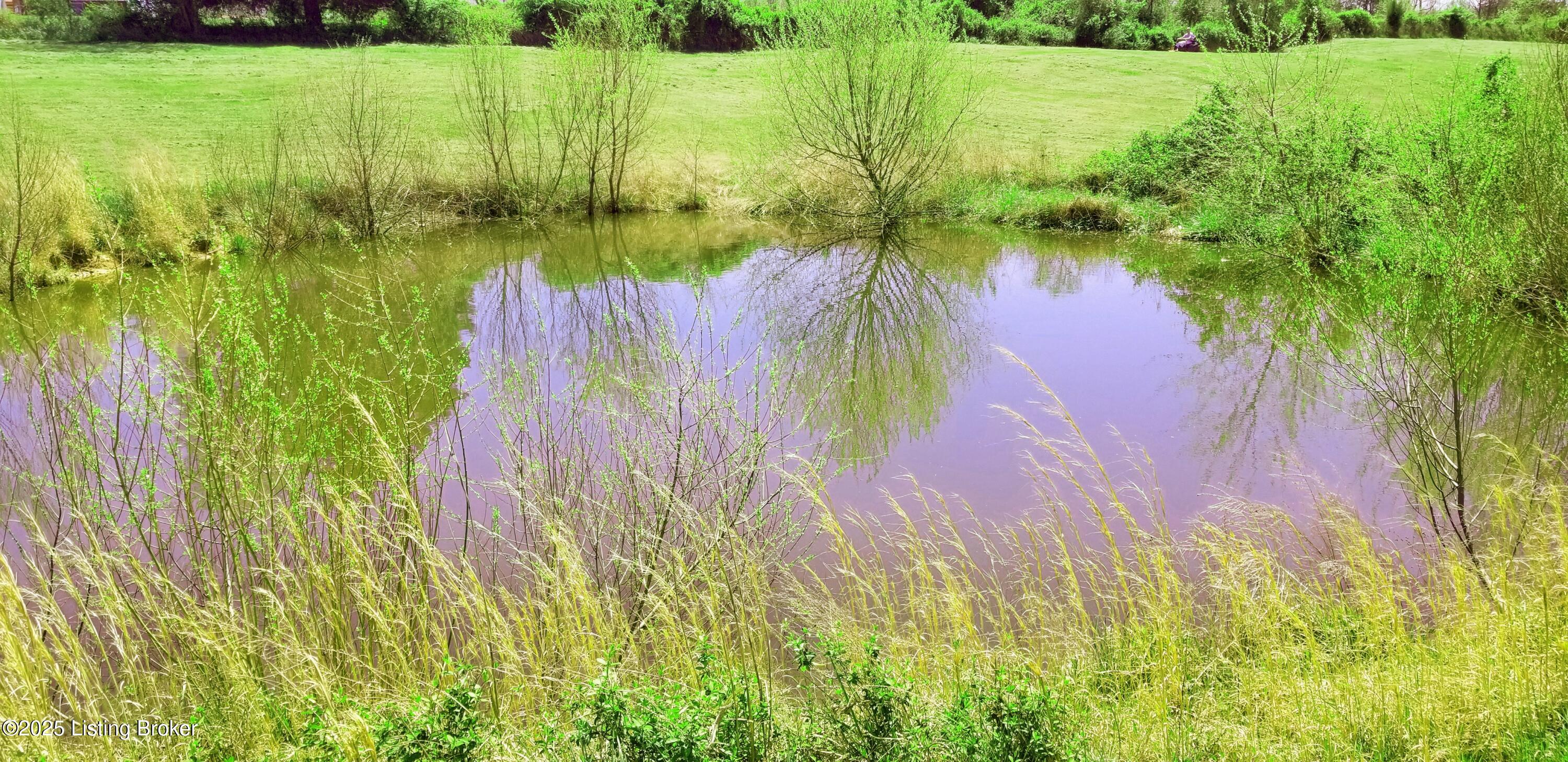 555 Fields Ln Property Photo 13