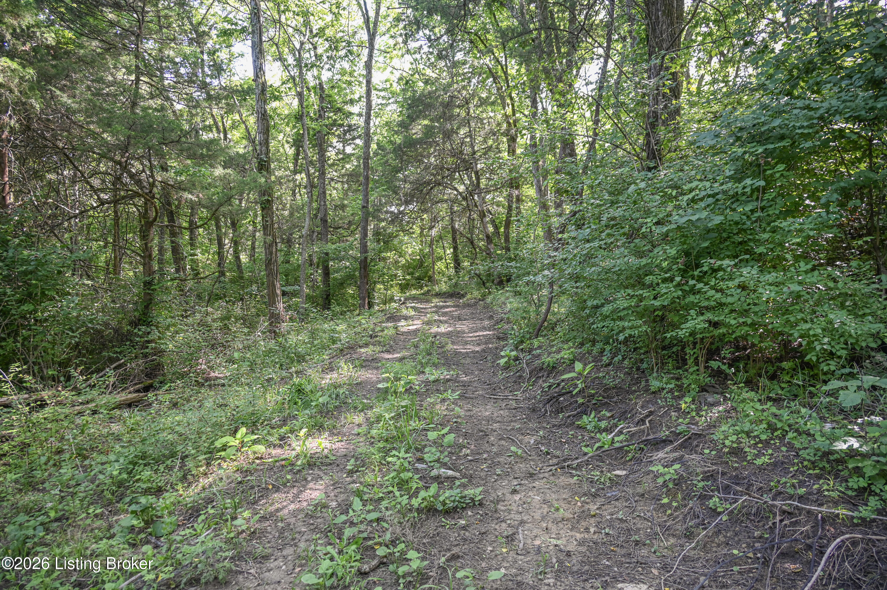 167 Price Rd Property Photo 22
