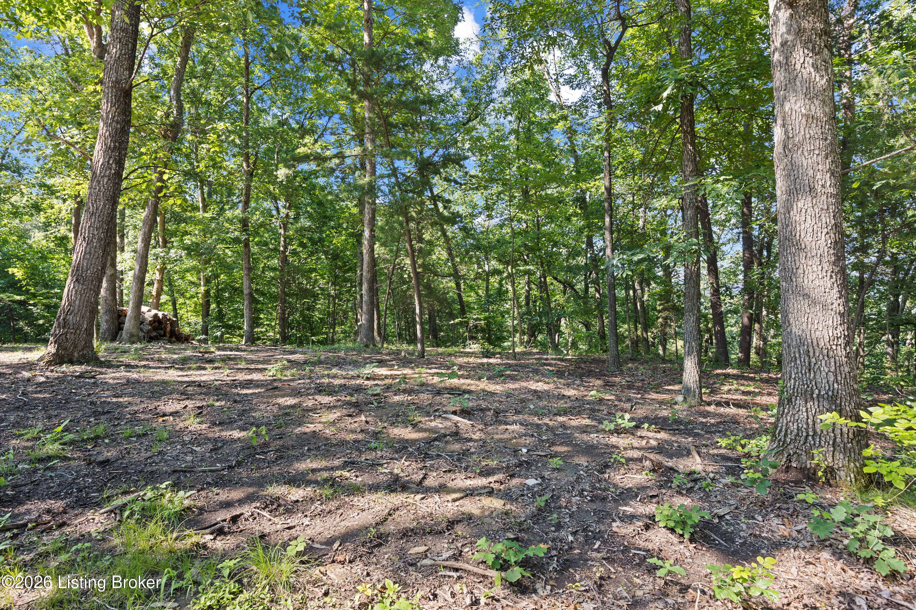 457 Ponderosa Pl Property Photo 48