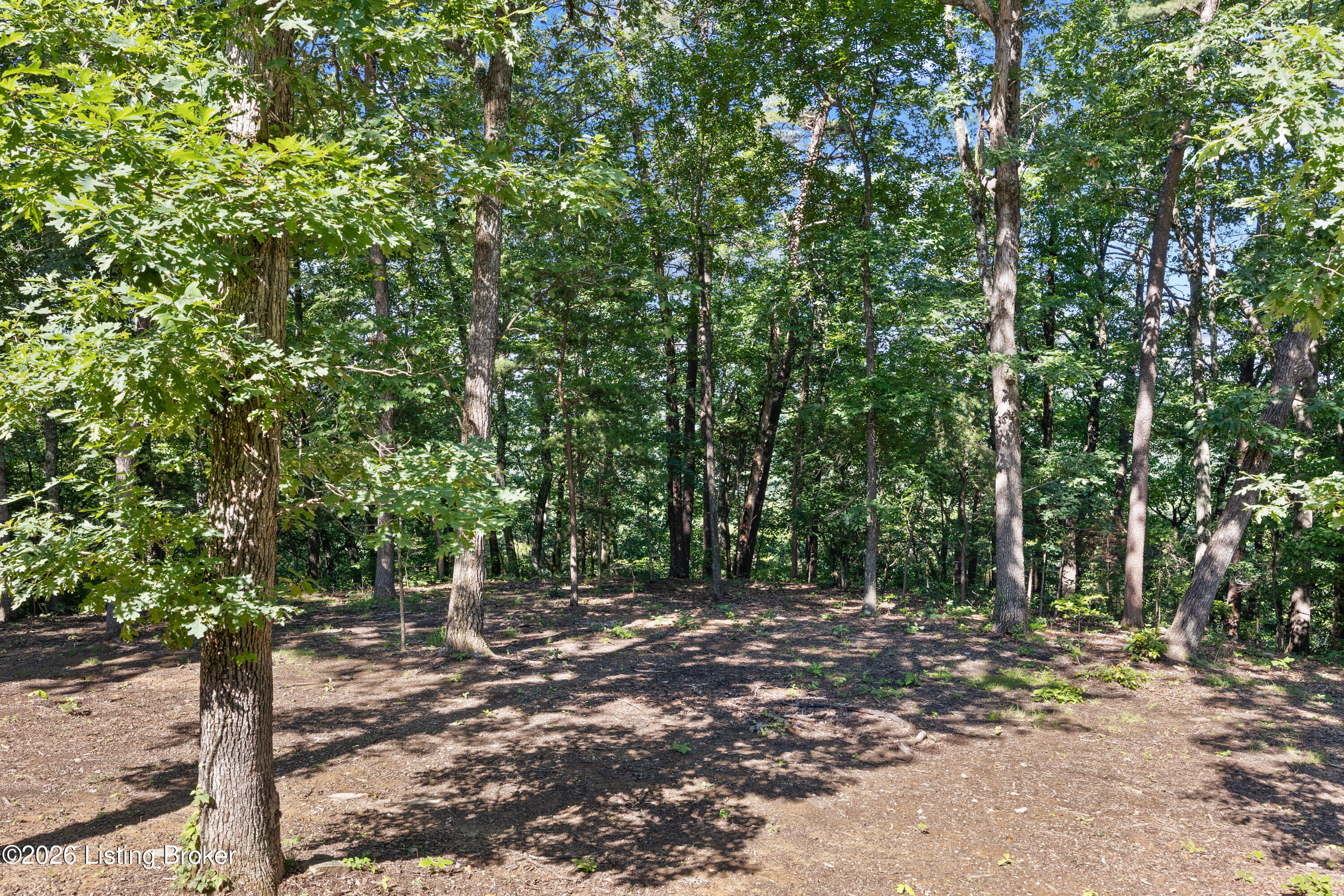 457 Ponderosa Pl Property Photo 49