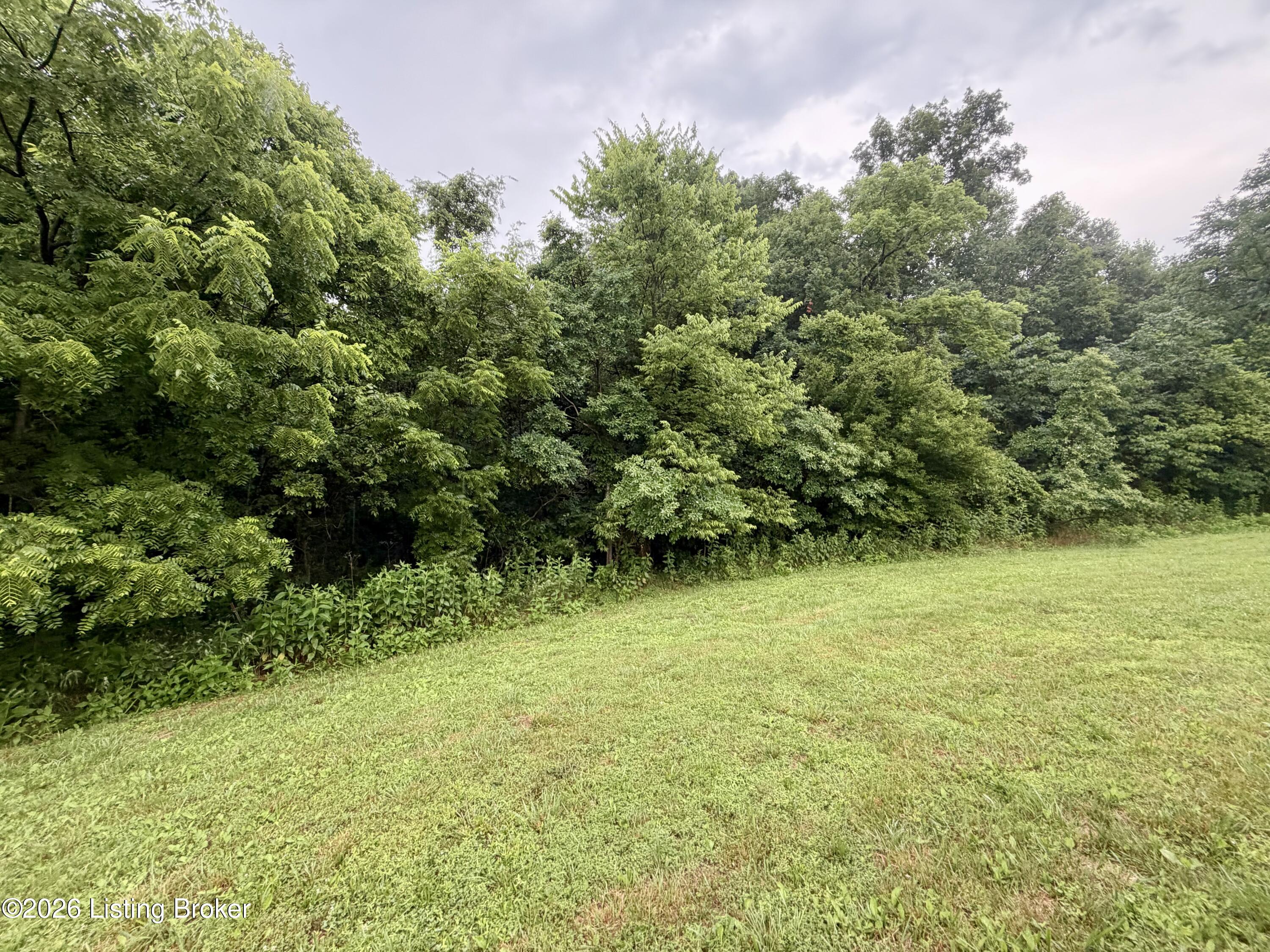 388 Joe Nalley Rd Property Photo 7