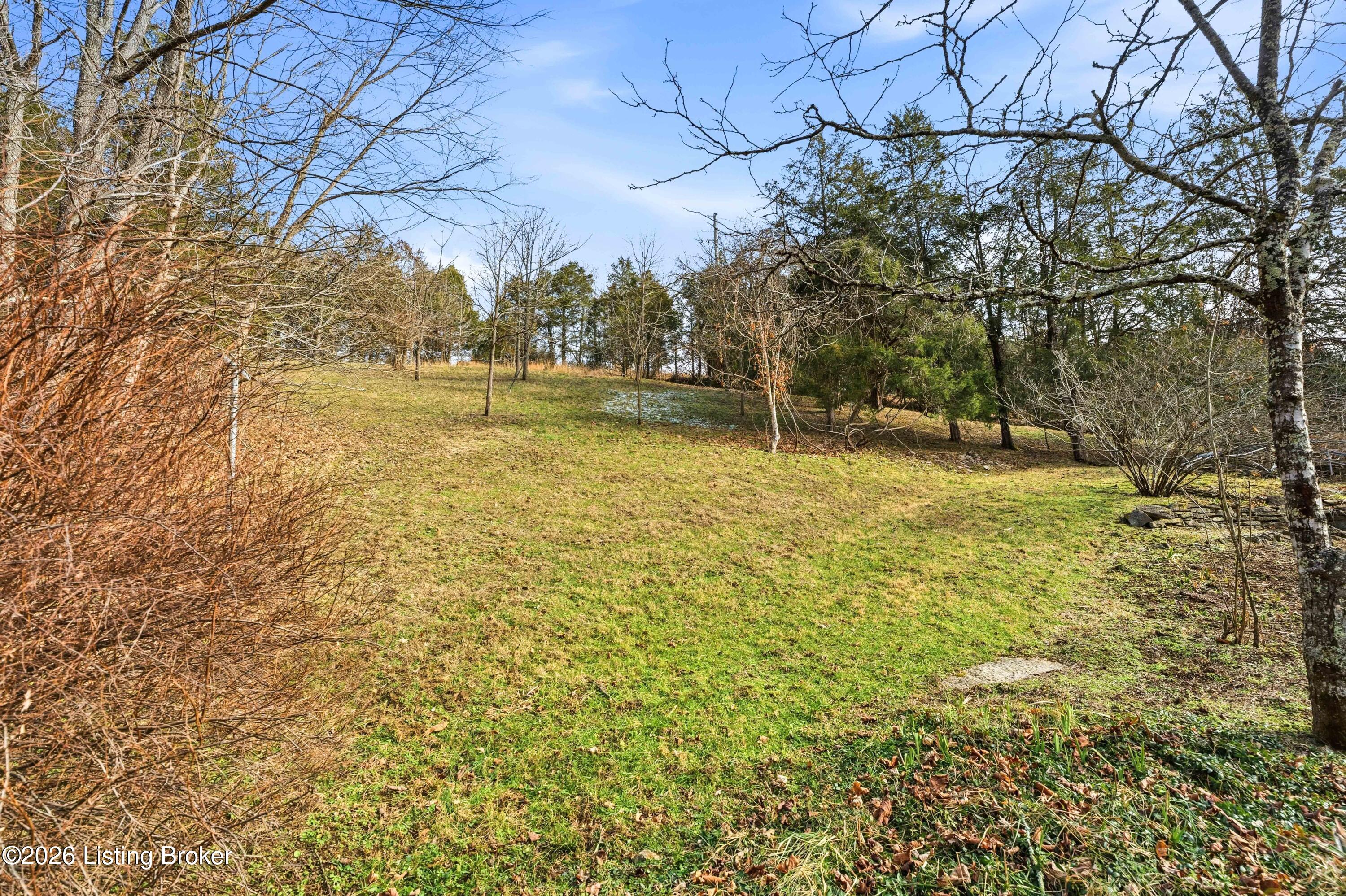 2466 Back Creek Rd Property Photo 40