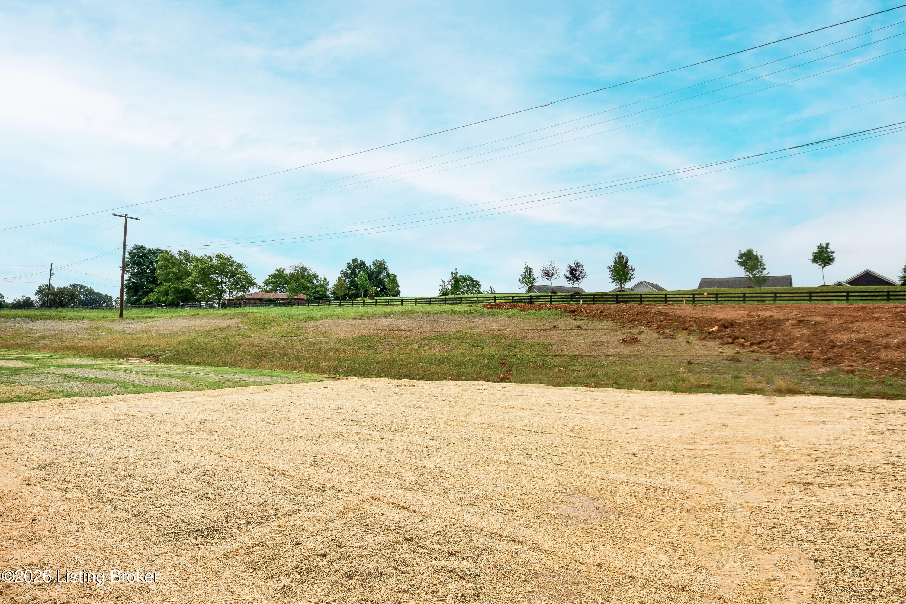 16956 Aiken Ridge Cir Property Photo 80