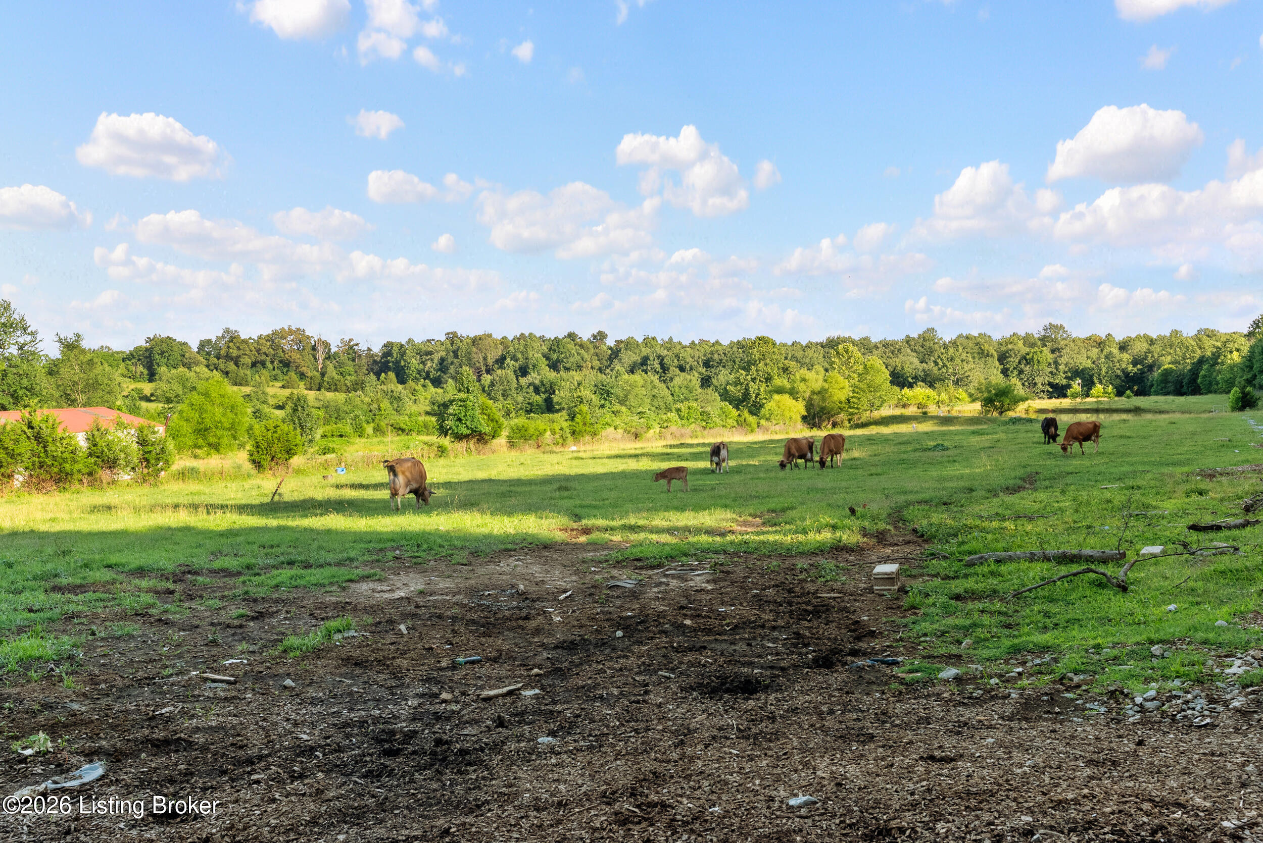 6205 Valley Creek Rd Property Photo 69