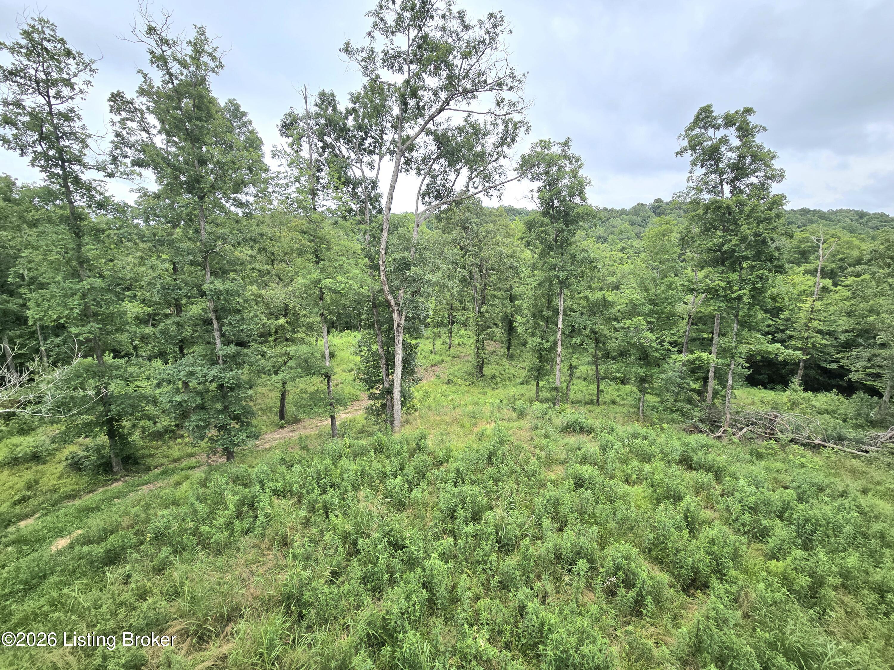 1045 Hunting Ground Rd Property Photo 38