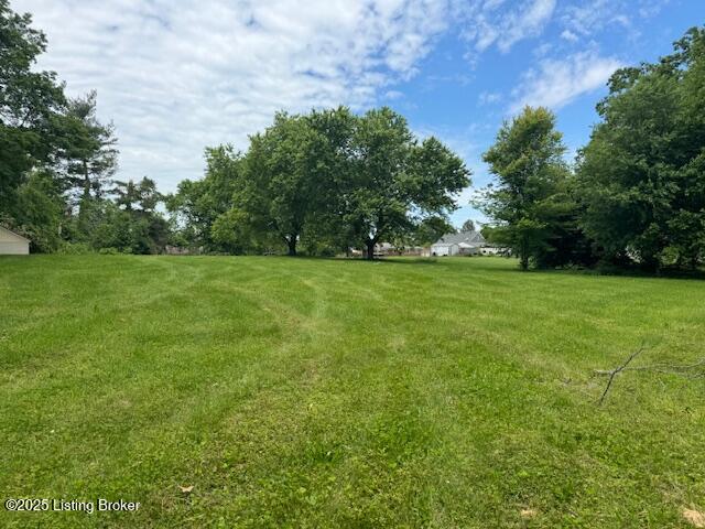 6215 Willismore Dr Property Photo 3