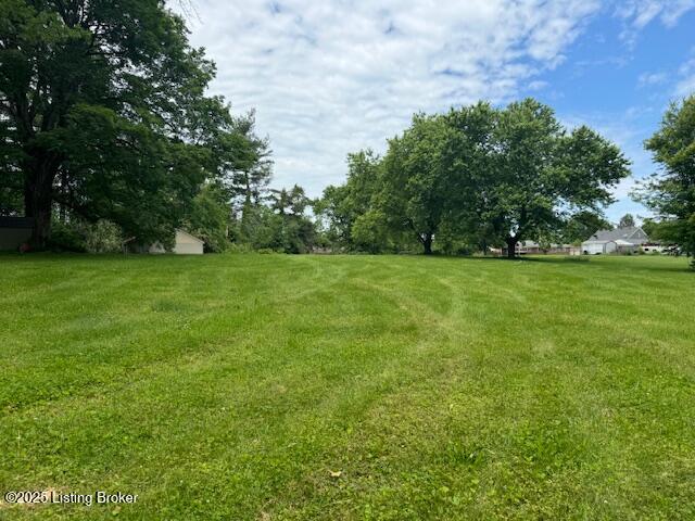 6215 Willismore Dr Property Photo 5