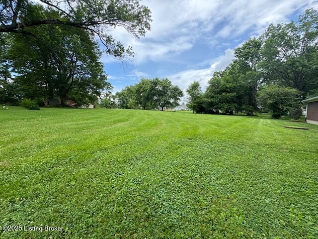 6215 Willismore Dr Property Photo 6