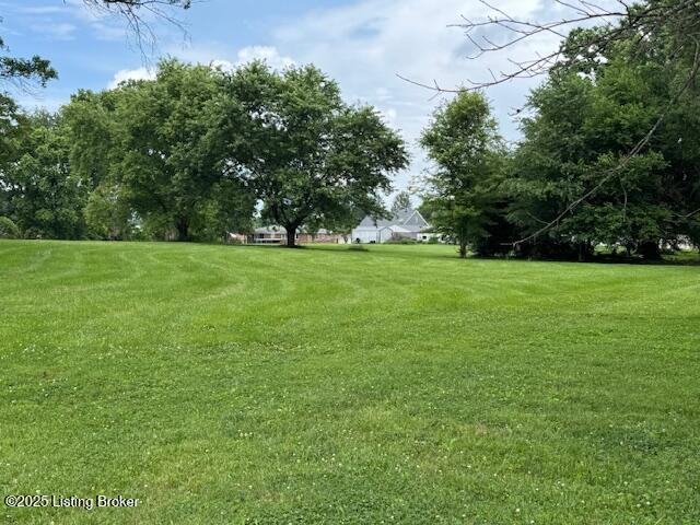 6215 Willismore Dr Property Photo 7