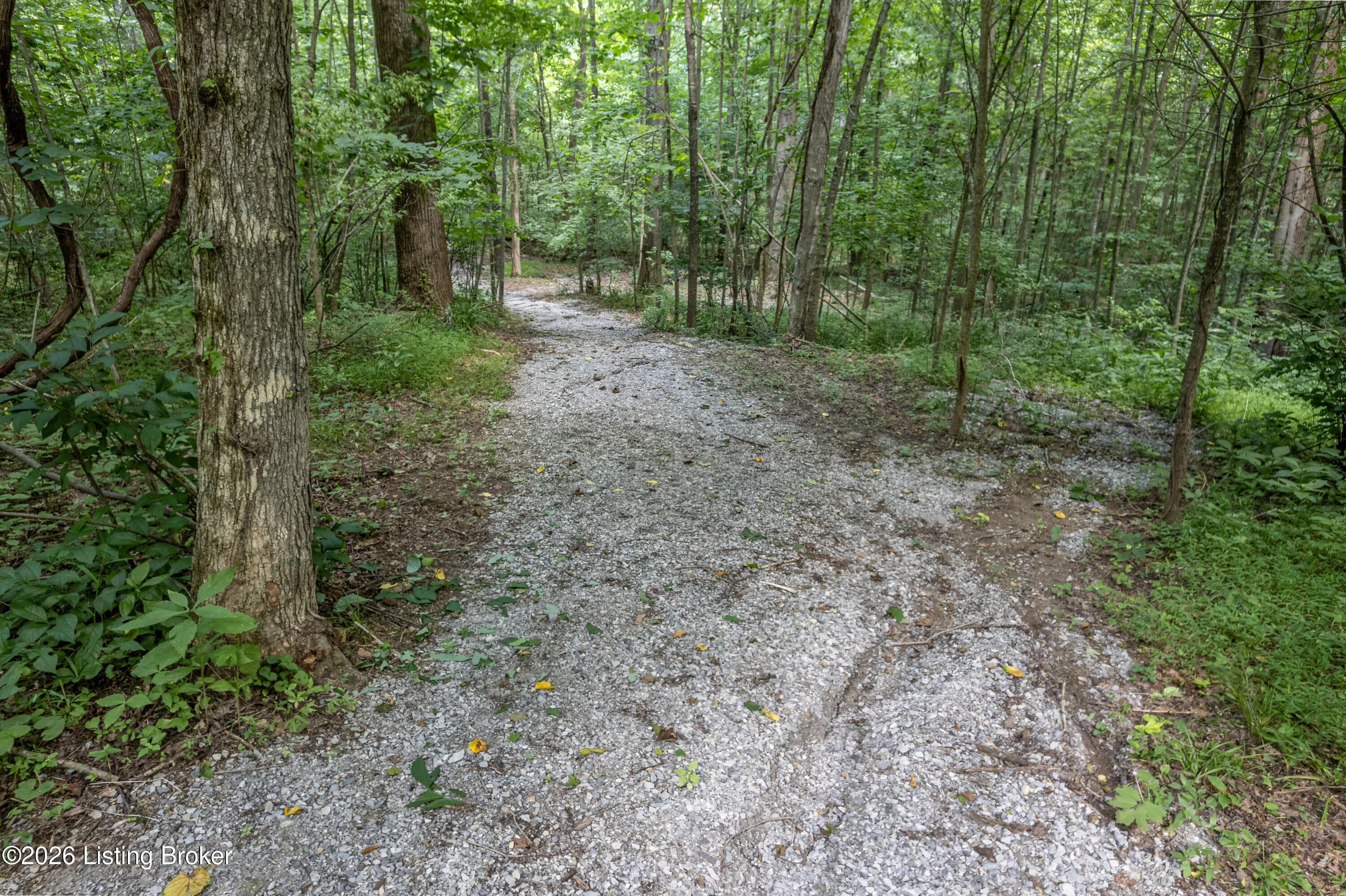 3478 Lewis School Rd Property Photo 51