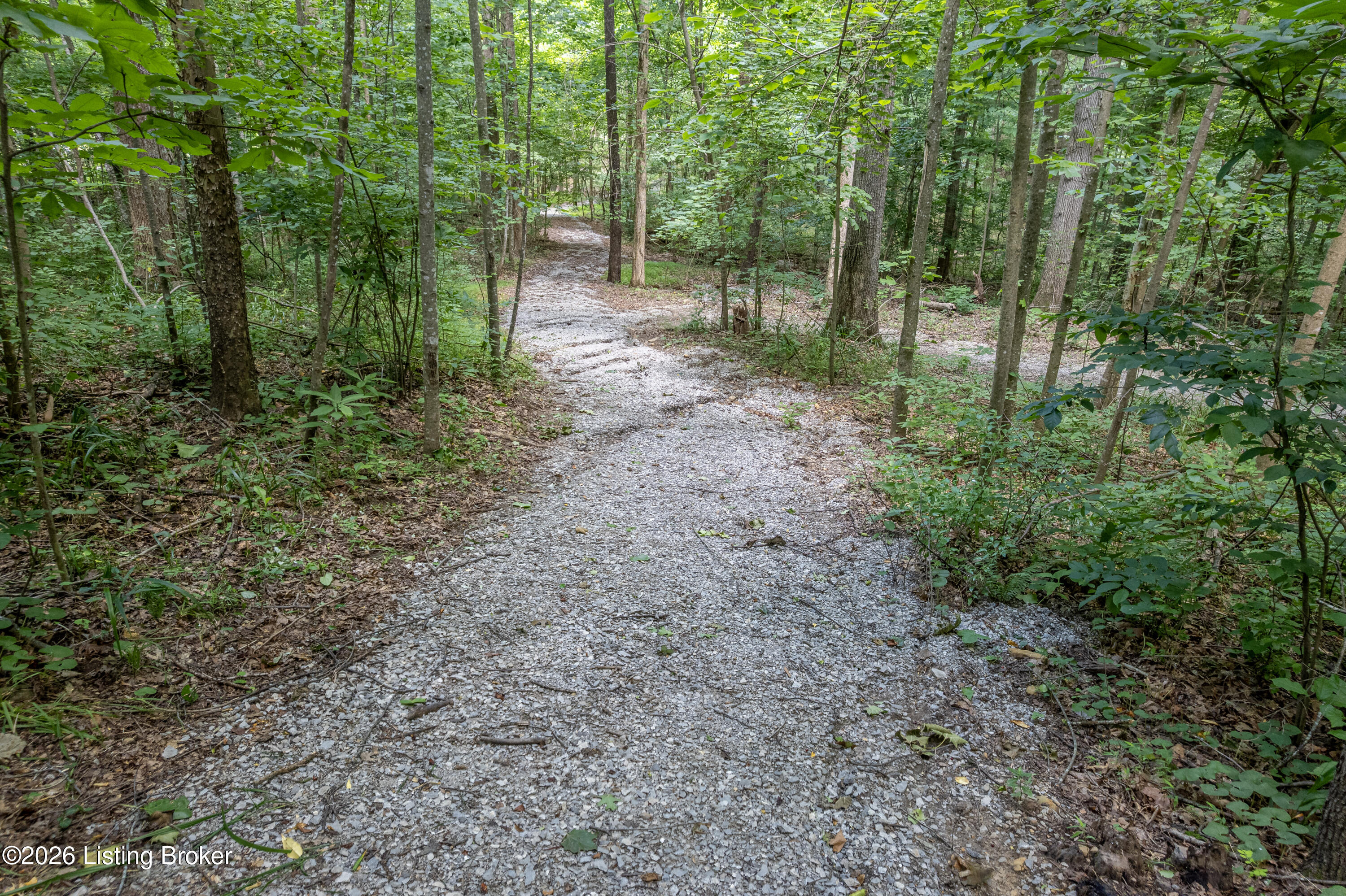 3478 Lewis School Rd Property Photo 52
