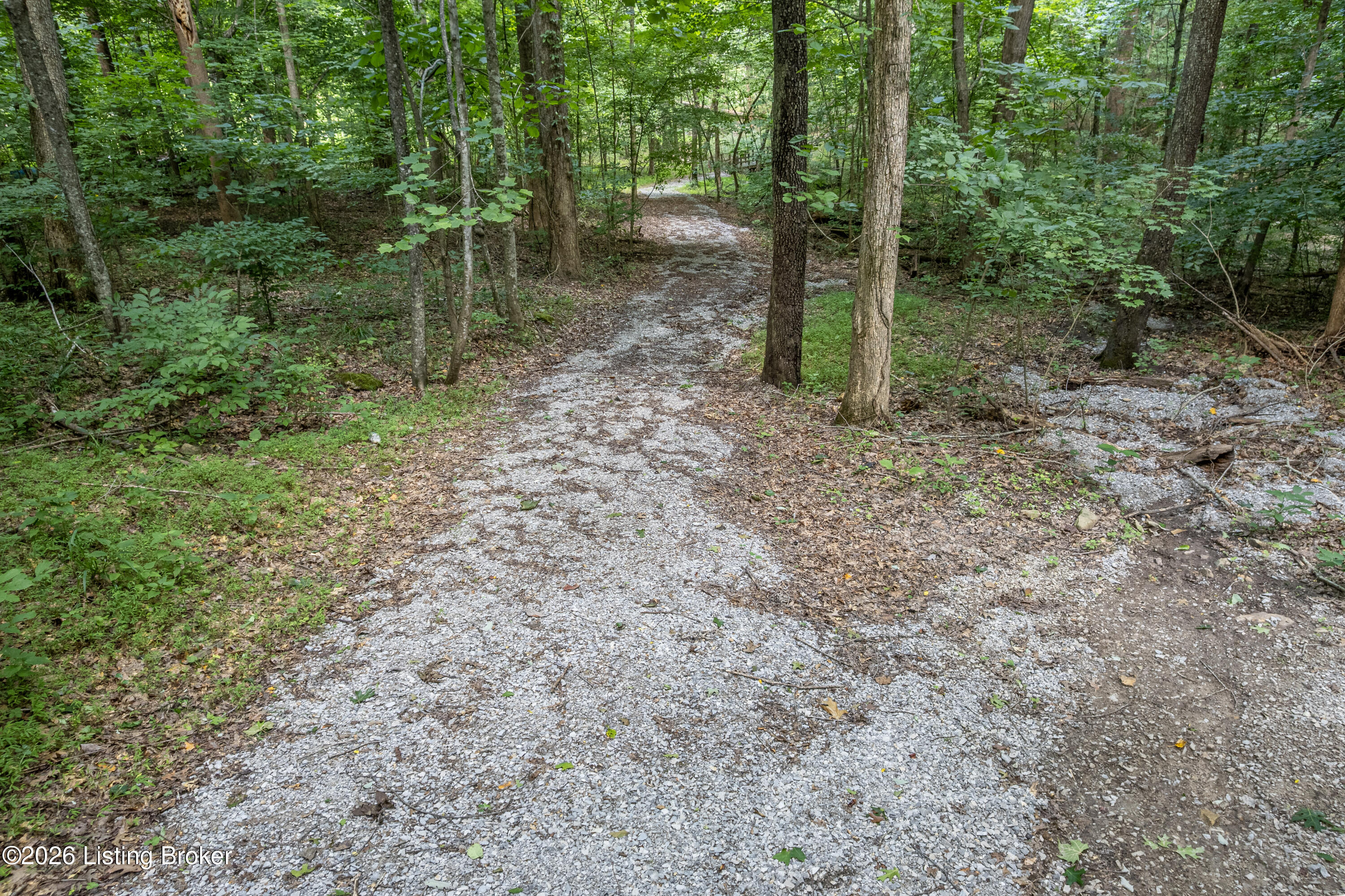 3478 Lewis School Rd Property Photo 53
