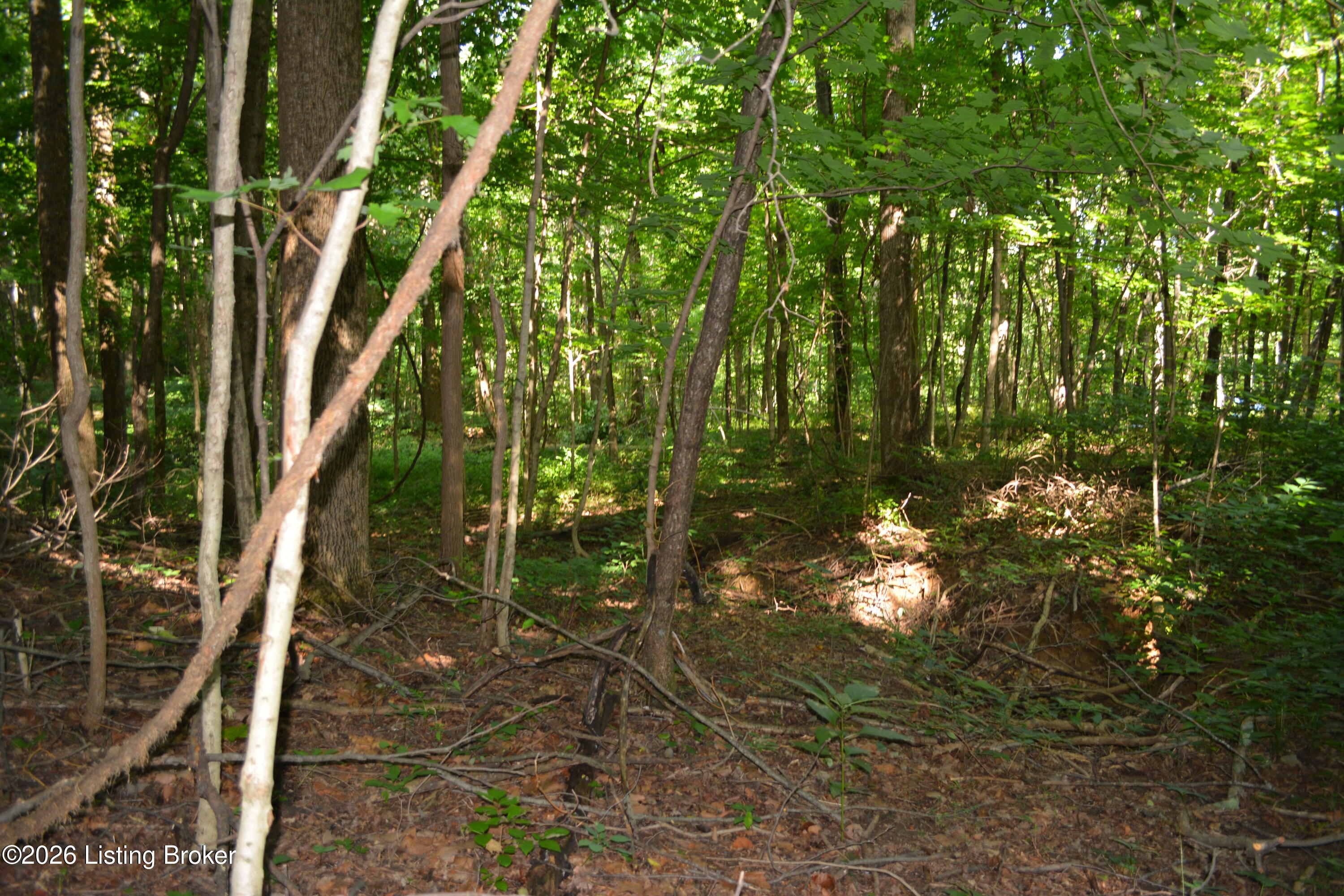 0000 Bray Ridge Rd Property Photo 11