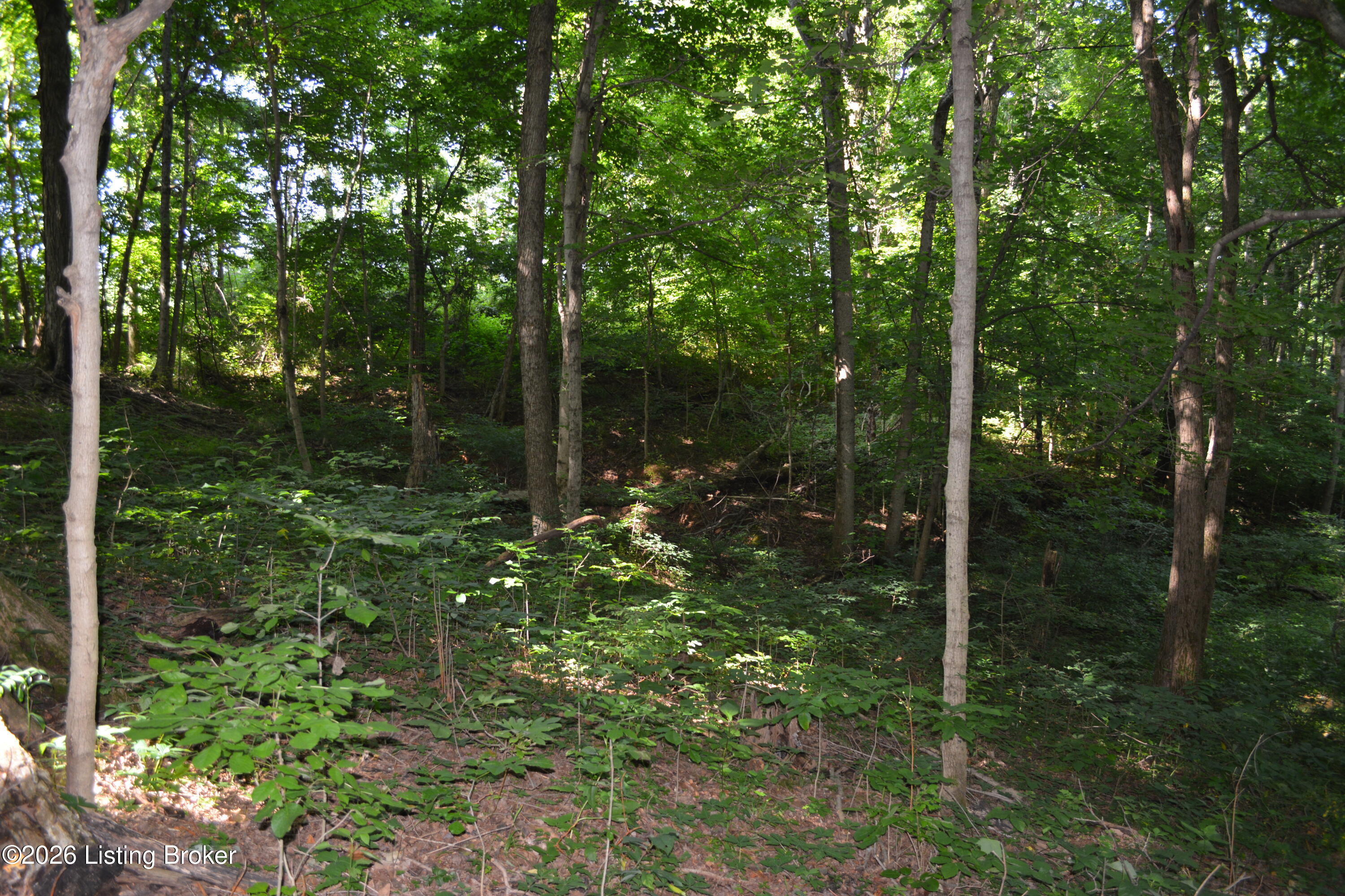 0000 Bray Ridge Rd Property Photo 12