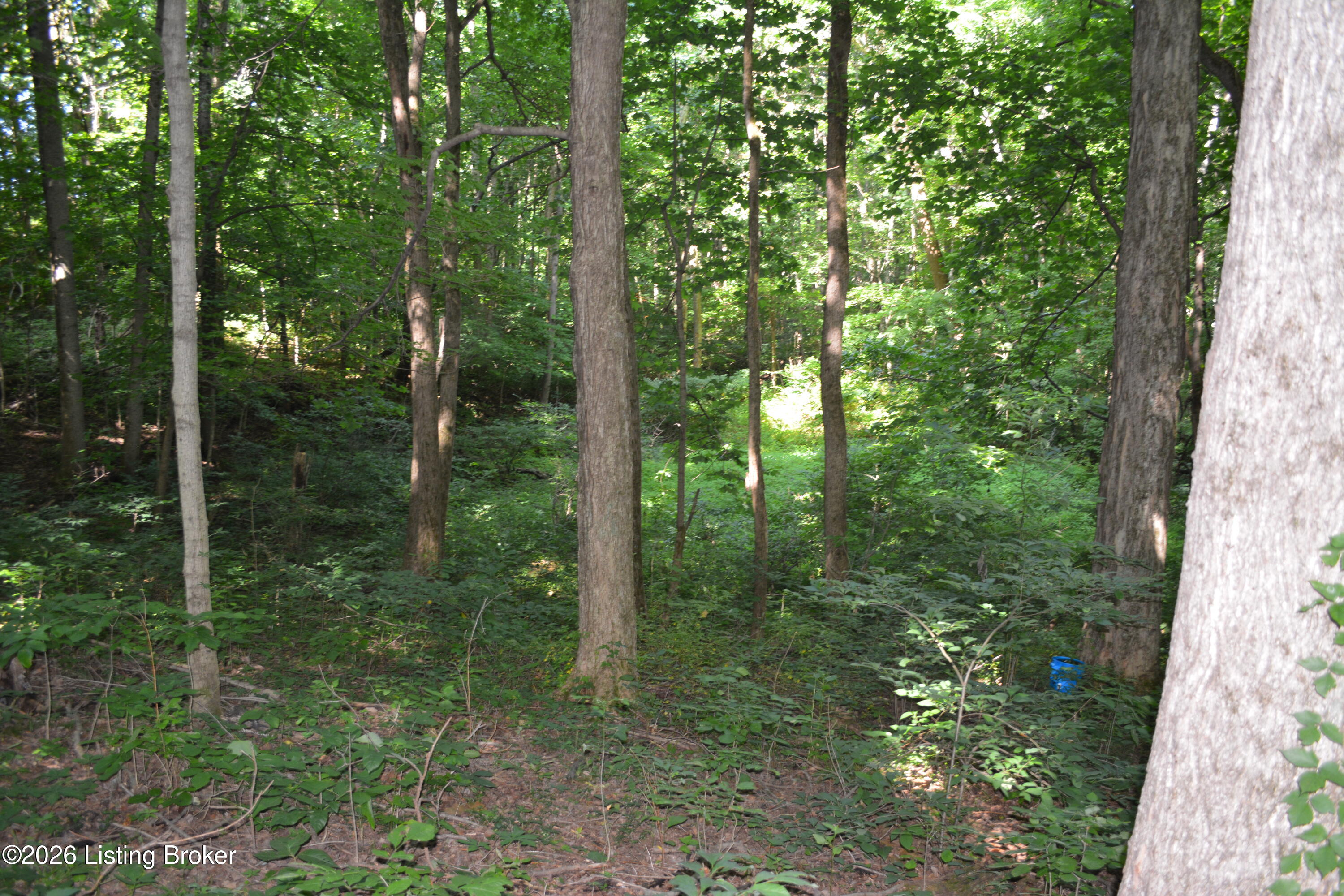 0000 Bray Ridge Rd Property Photo 13