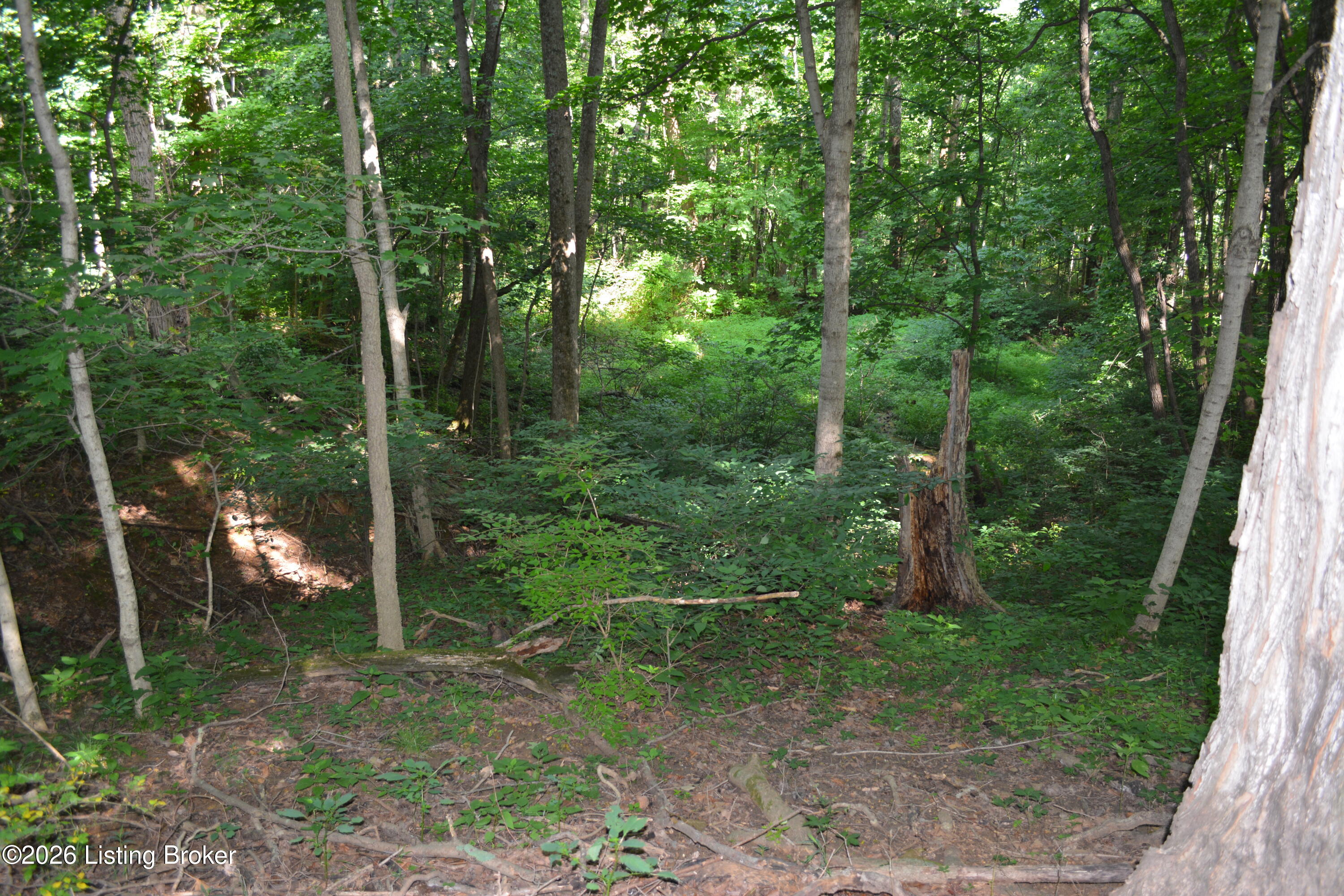 0000 Bray Ridge Rd Property Photo 14