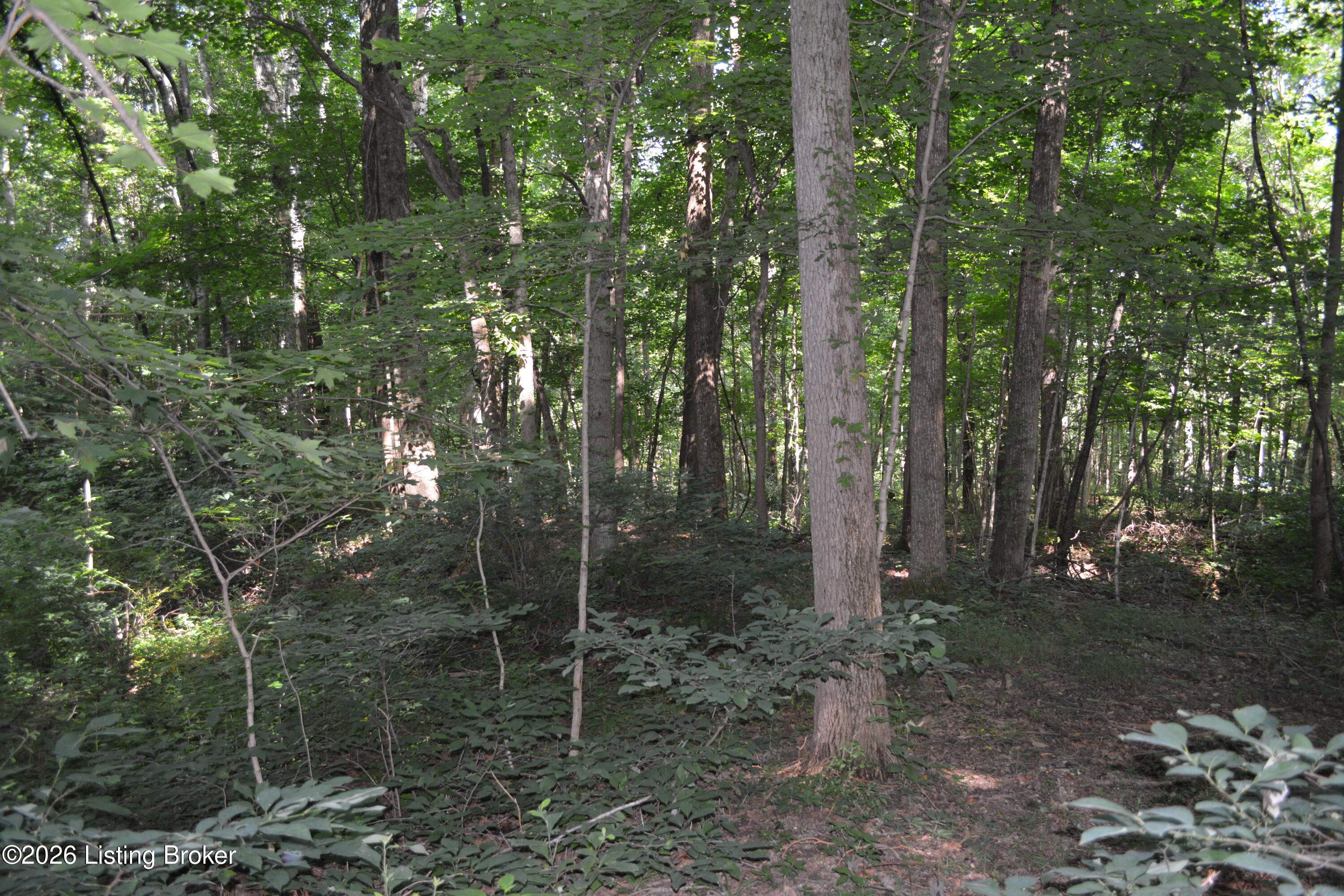 0000 Bray Ridge Rd Property Photo 16
