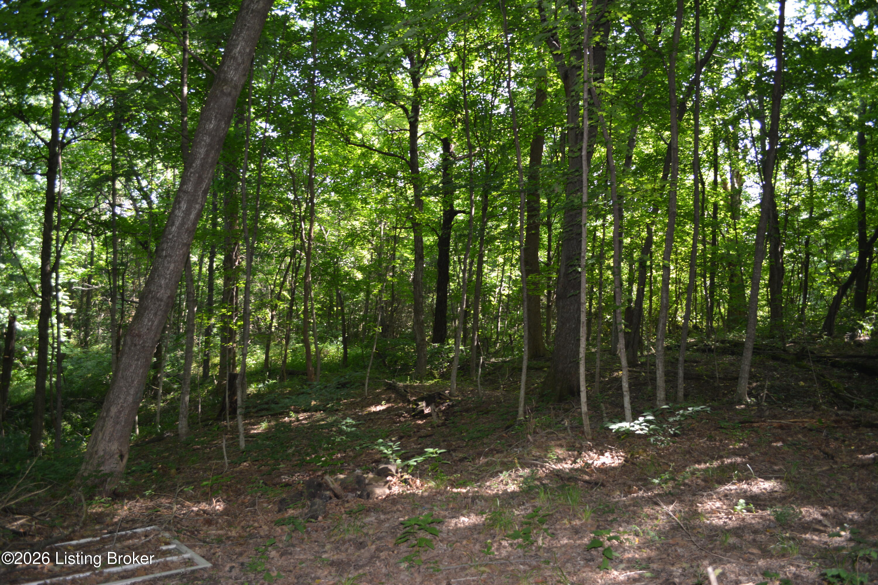 0000 Bray Ridge Rd Property Photo 18