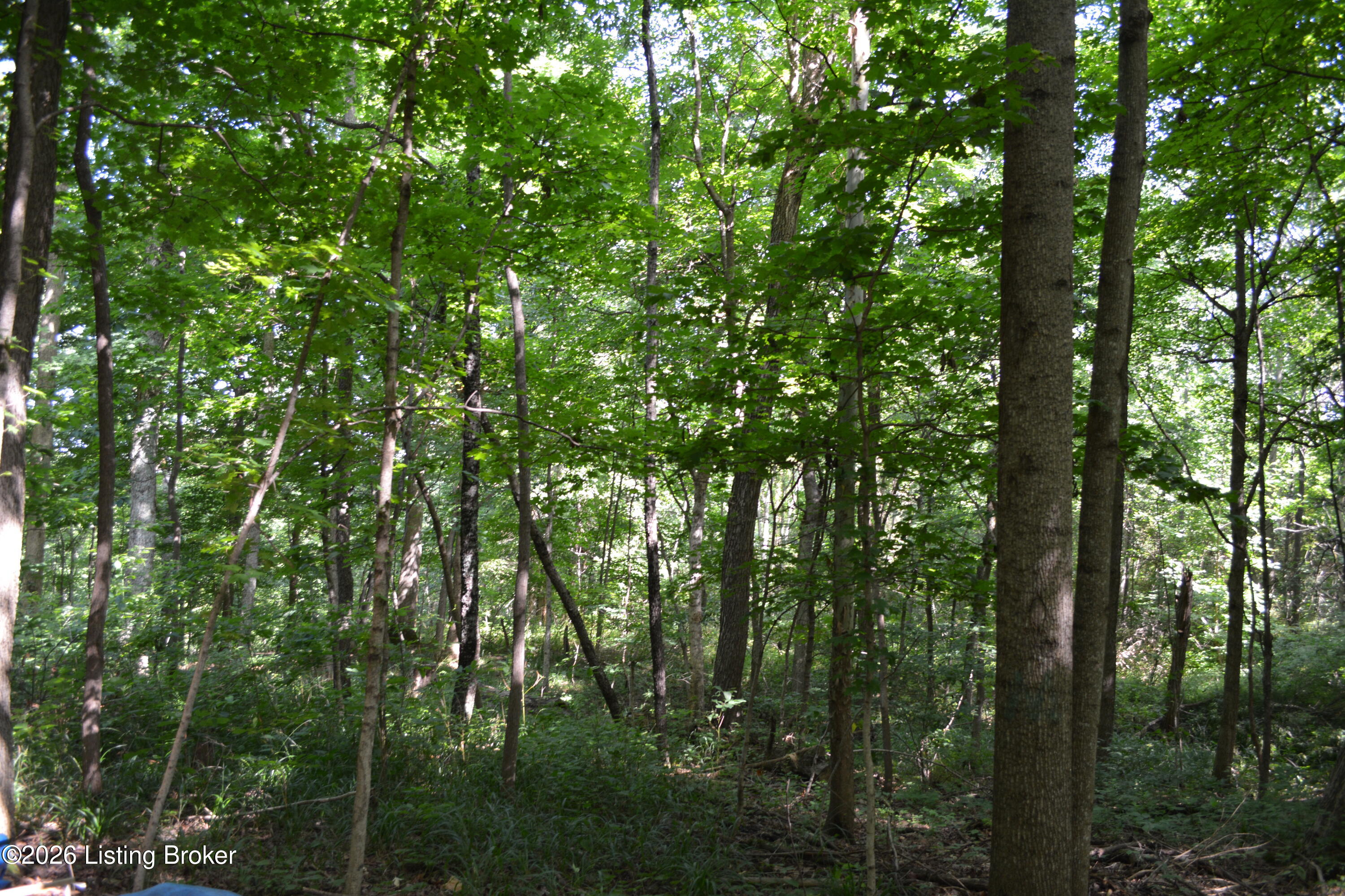 0000 Bray Ridge Rd Property Photo 19