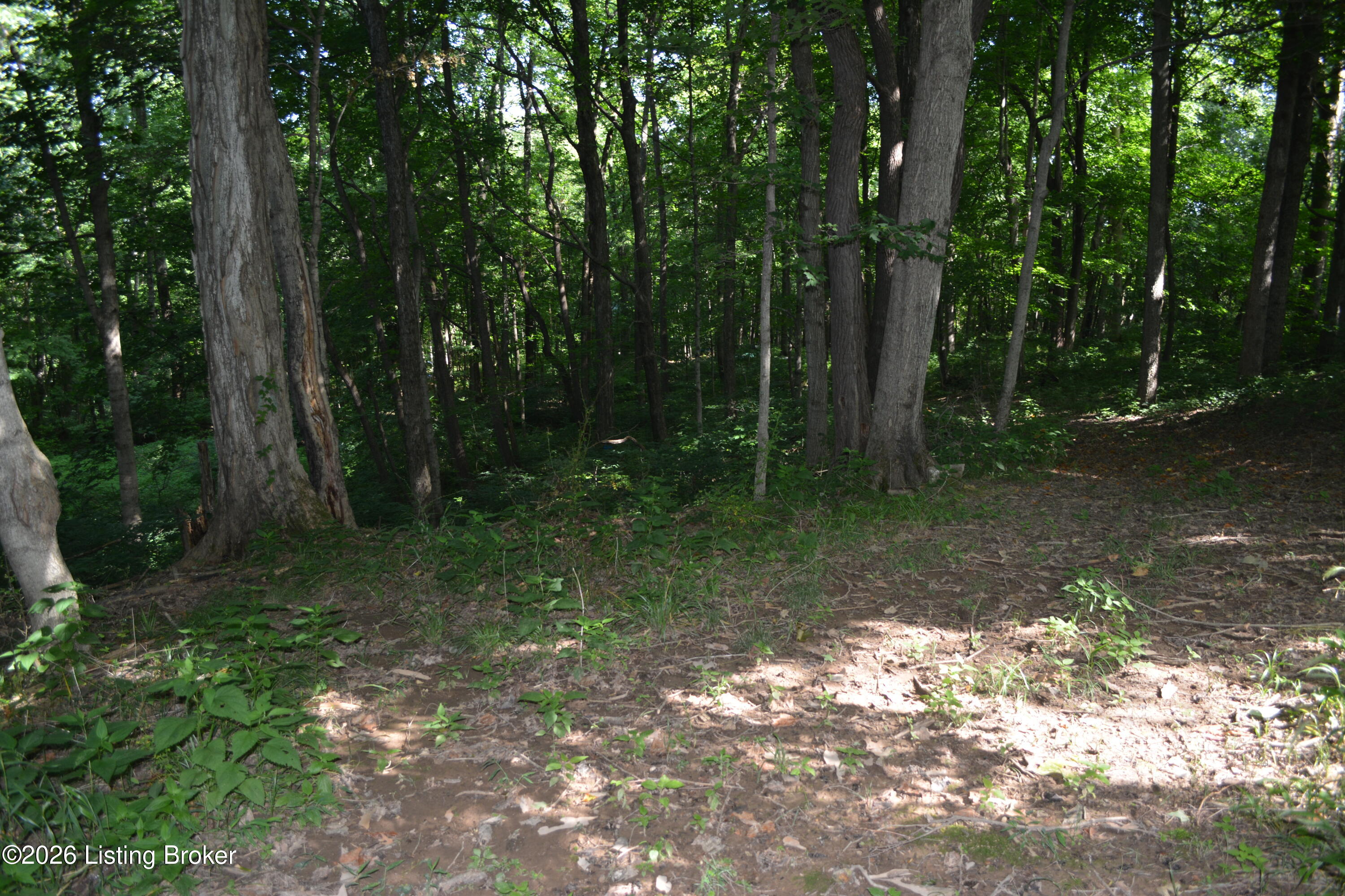 0000 Bray Ridge Rd Property Photo 21