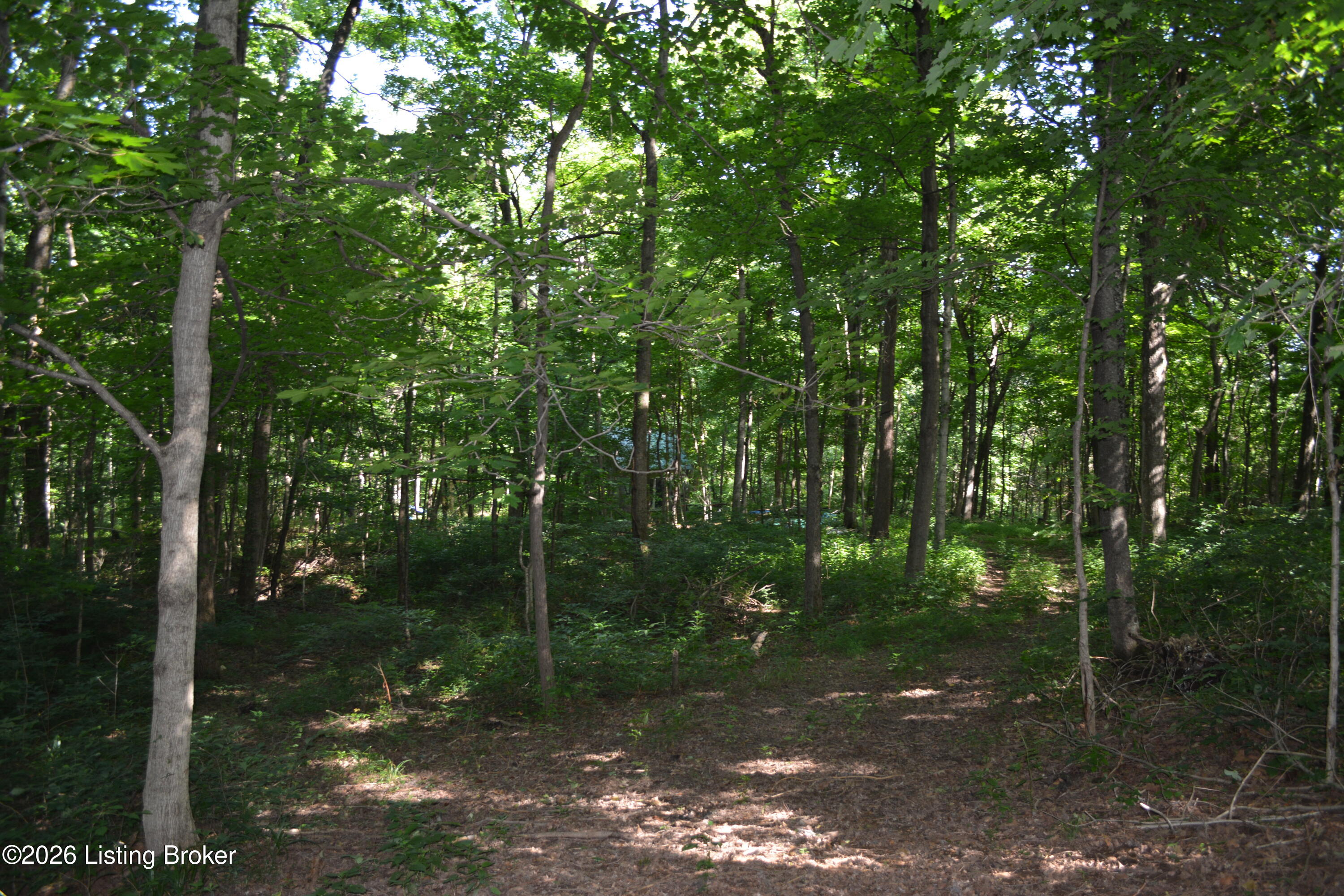 0000 Bray Ridge Rd Property Photo 23