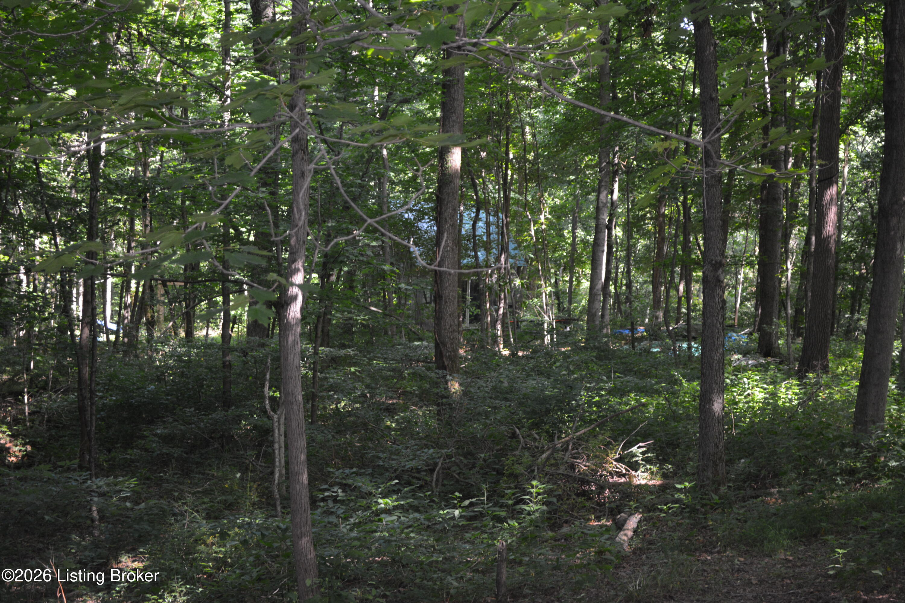 0000 Bray Ridge Rd Property Photo 24