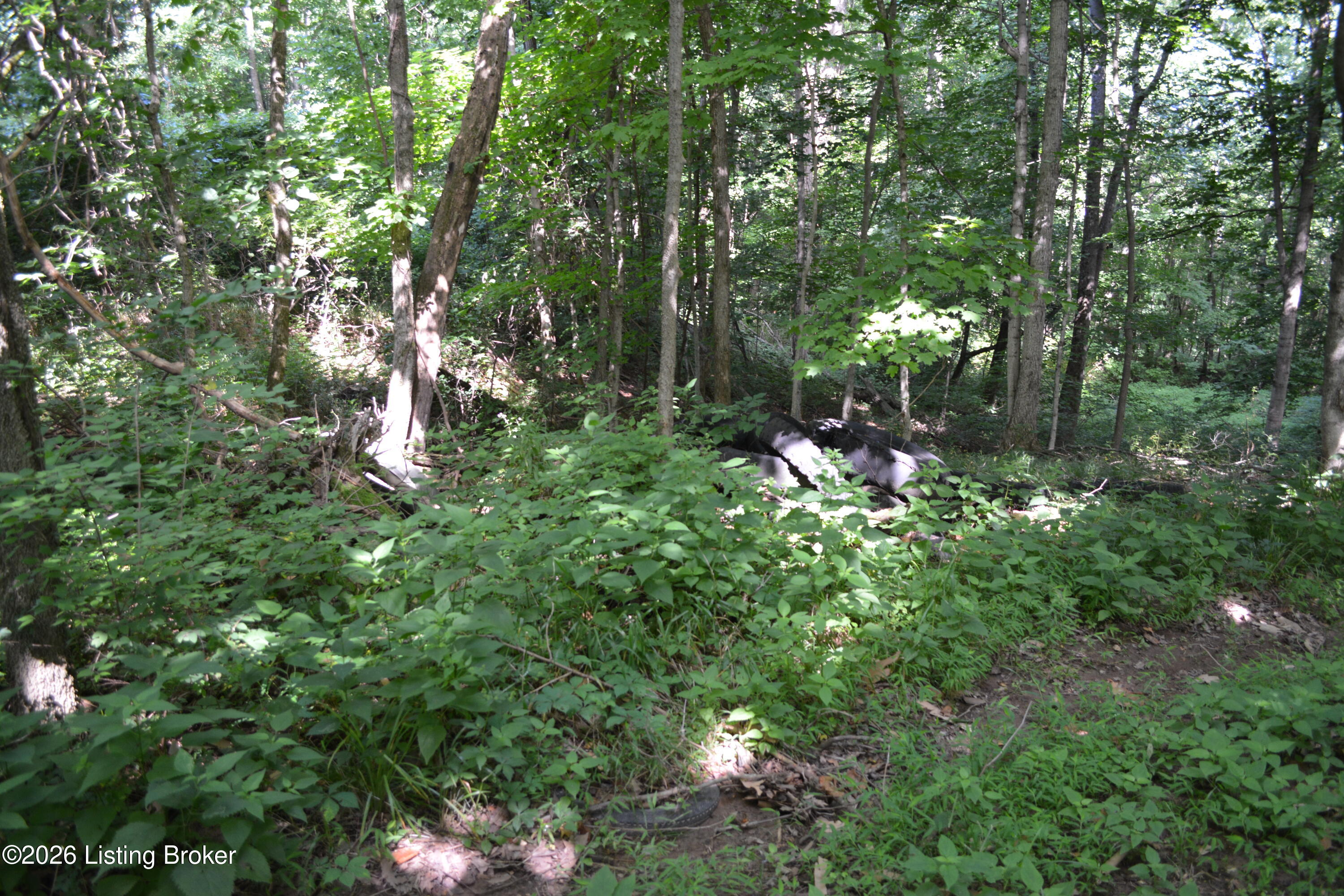 0000 Bray Ridge Rd Property Photo 27