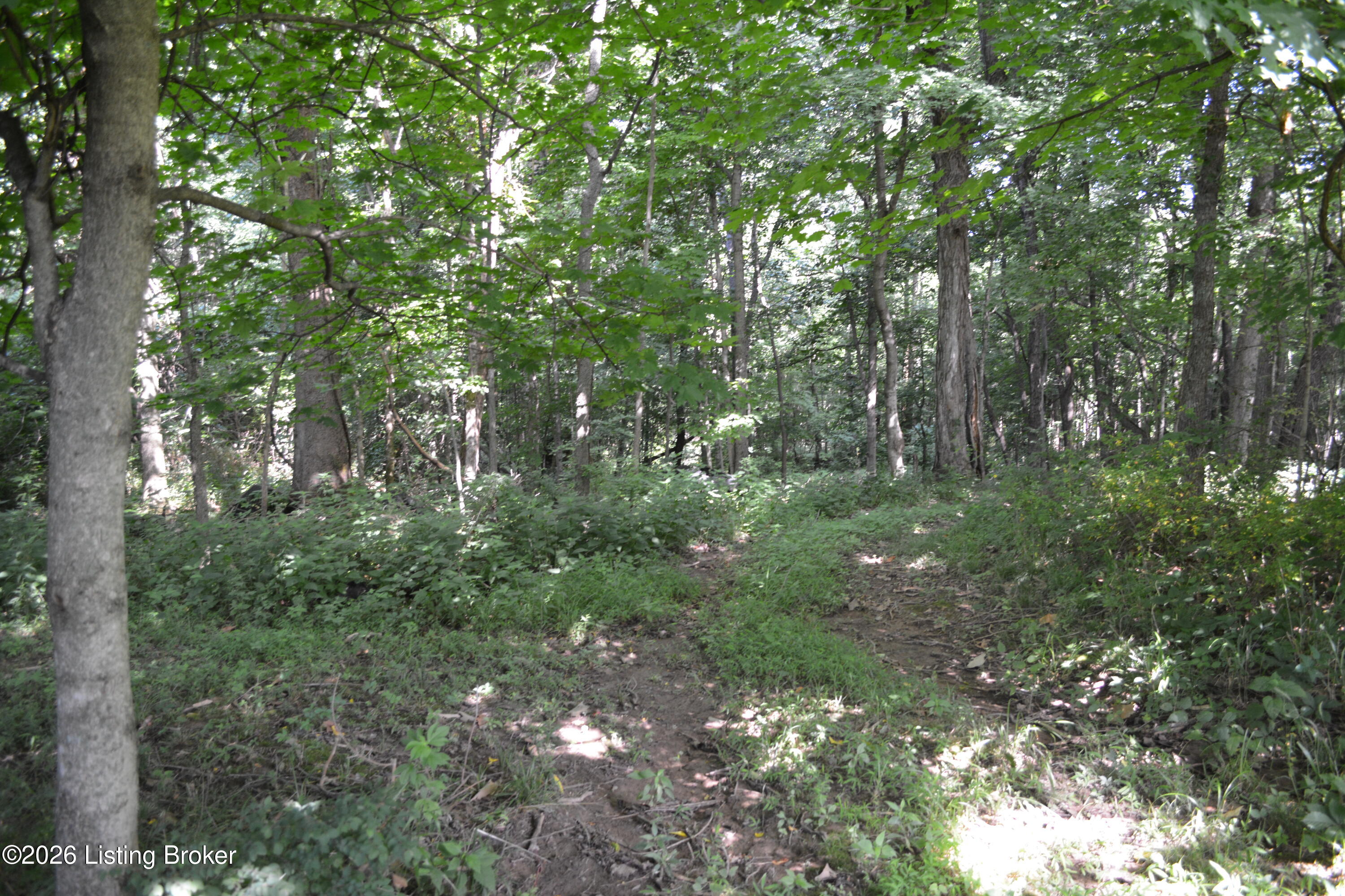 0000 Bray Ridge Rd Property Photo 28