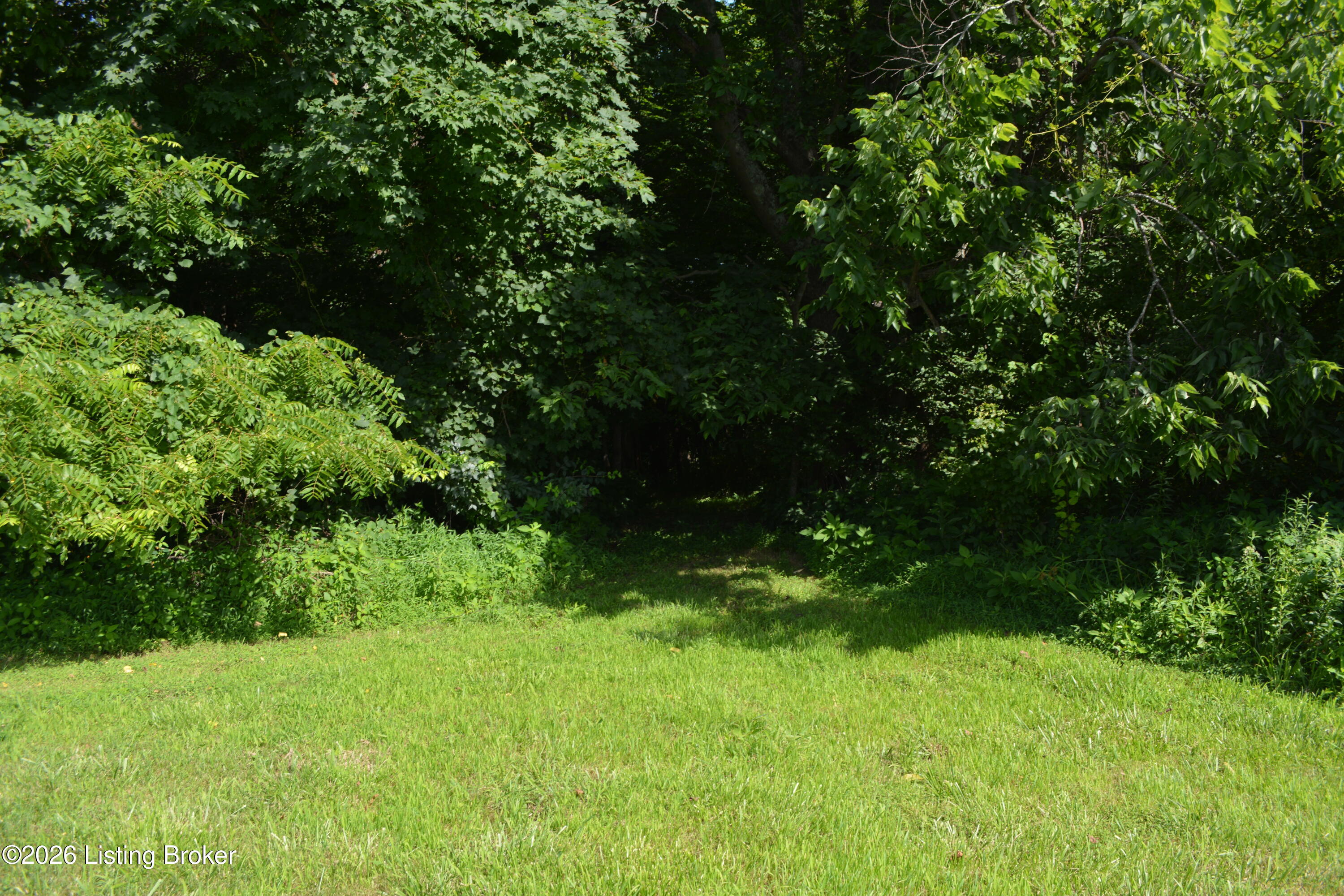 0000 Bray Ridge Rd Property Photo 29