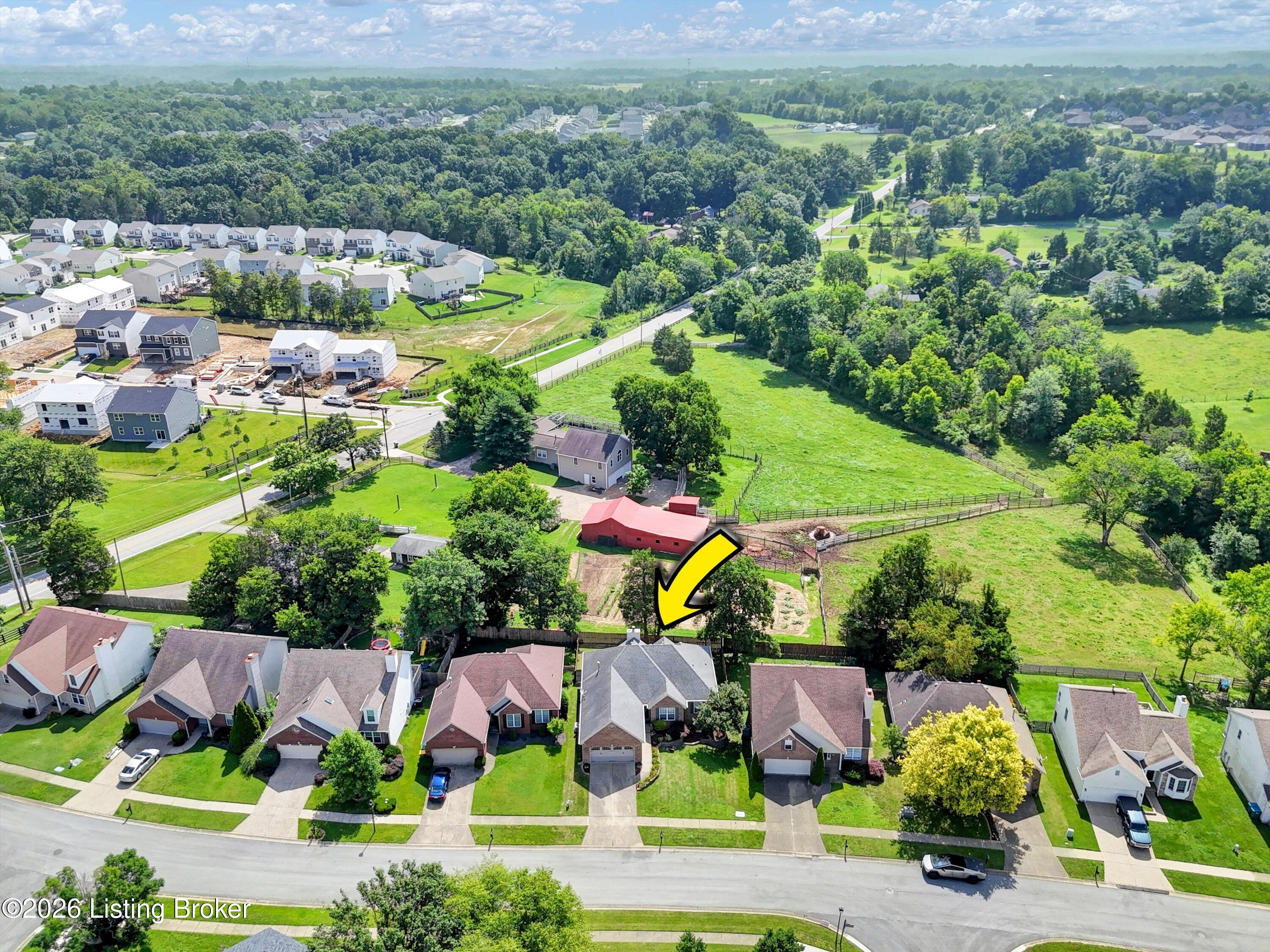 7309 Spring Run Dr Property Photo 49