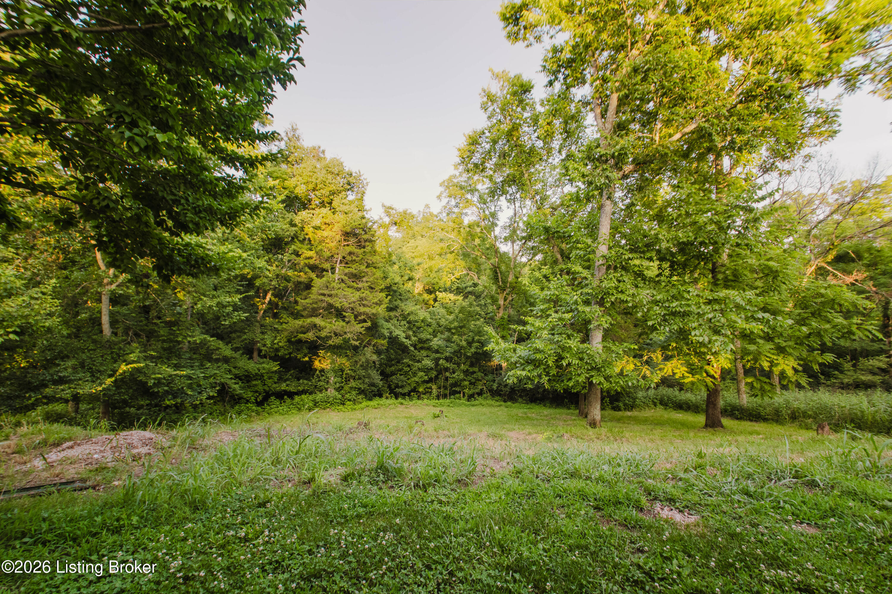 1429 Zen Forest Rd Property Photo 18