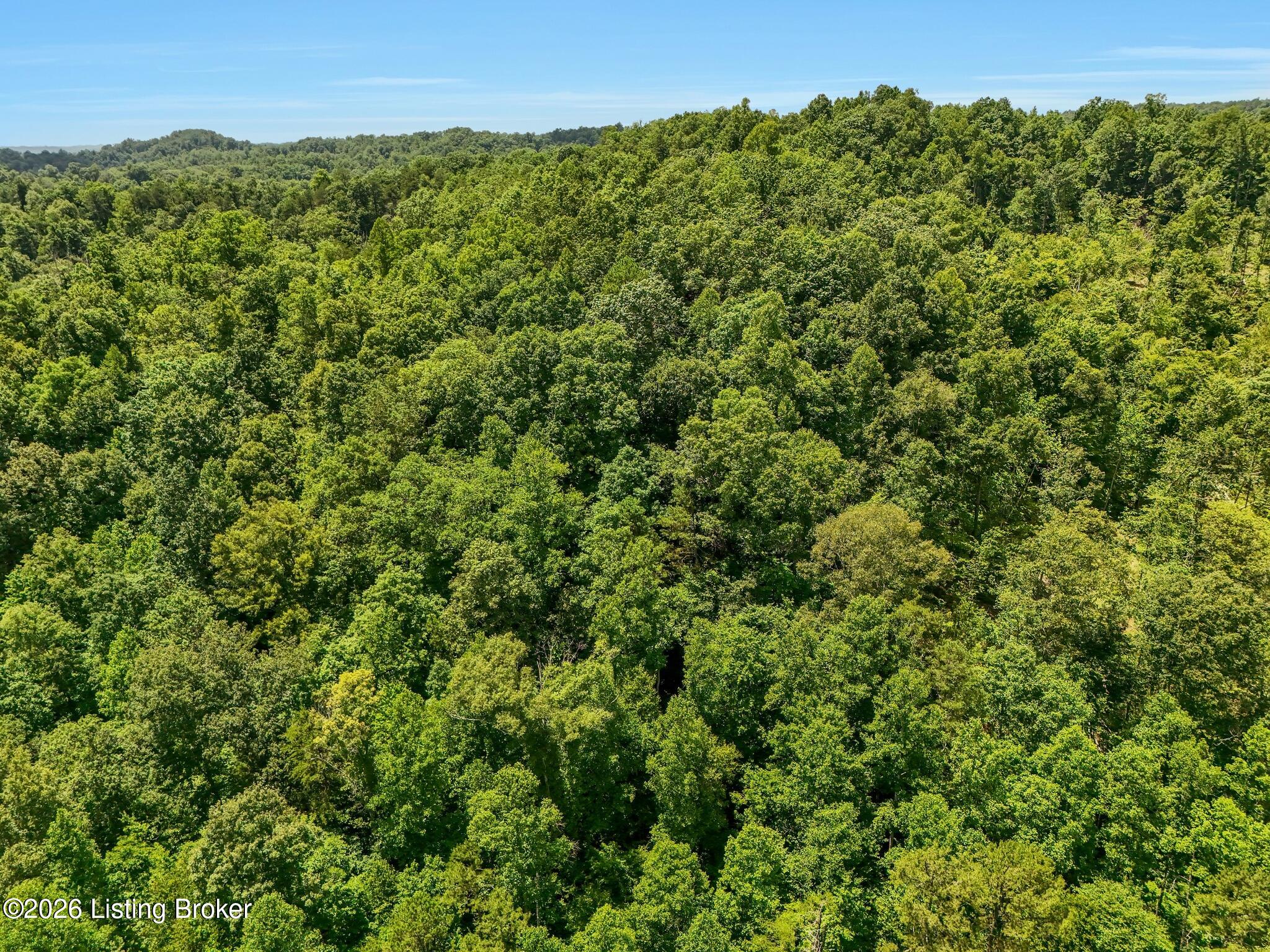 1 Williams Fork Rd Property Photo 10