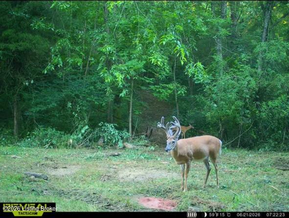 975 Long Run Rd Property Photo 1