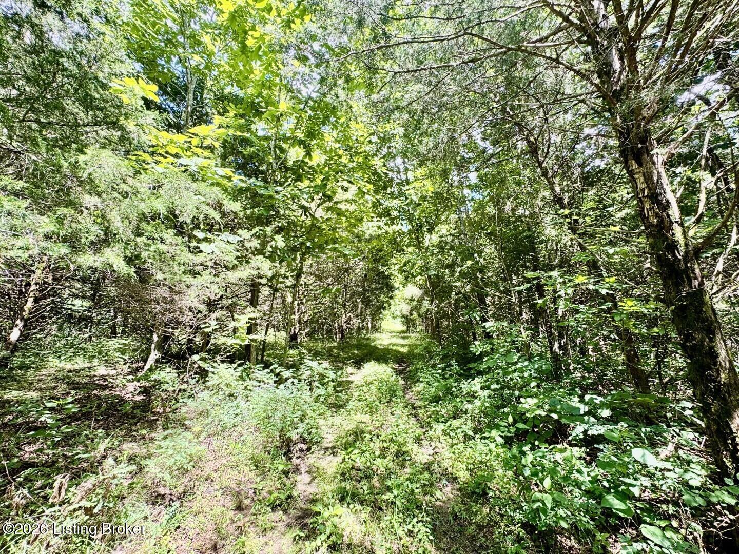 975 Long Run Rd Property Photo 51