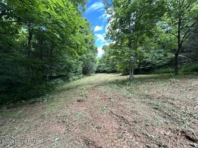 975 Long Run Rd Property Photo 57