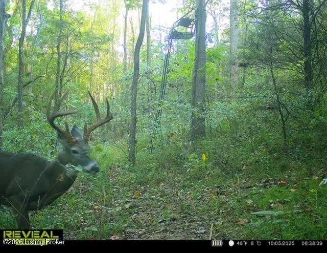 975 Long Run Rd Property Photo 61