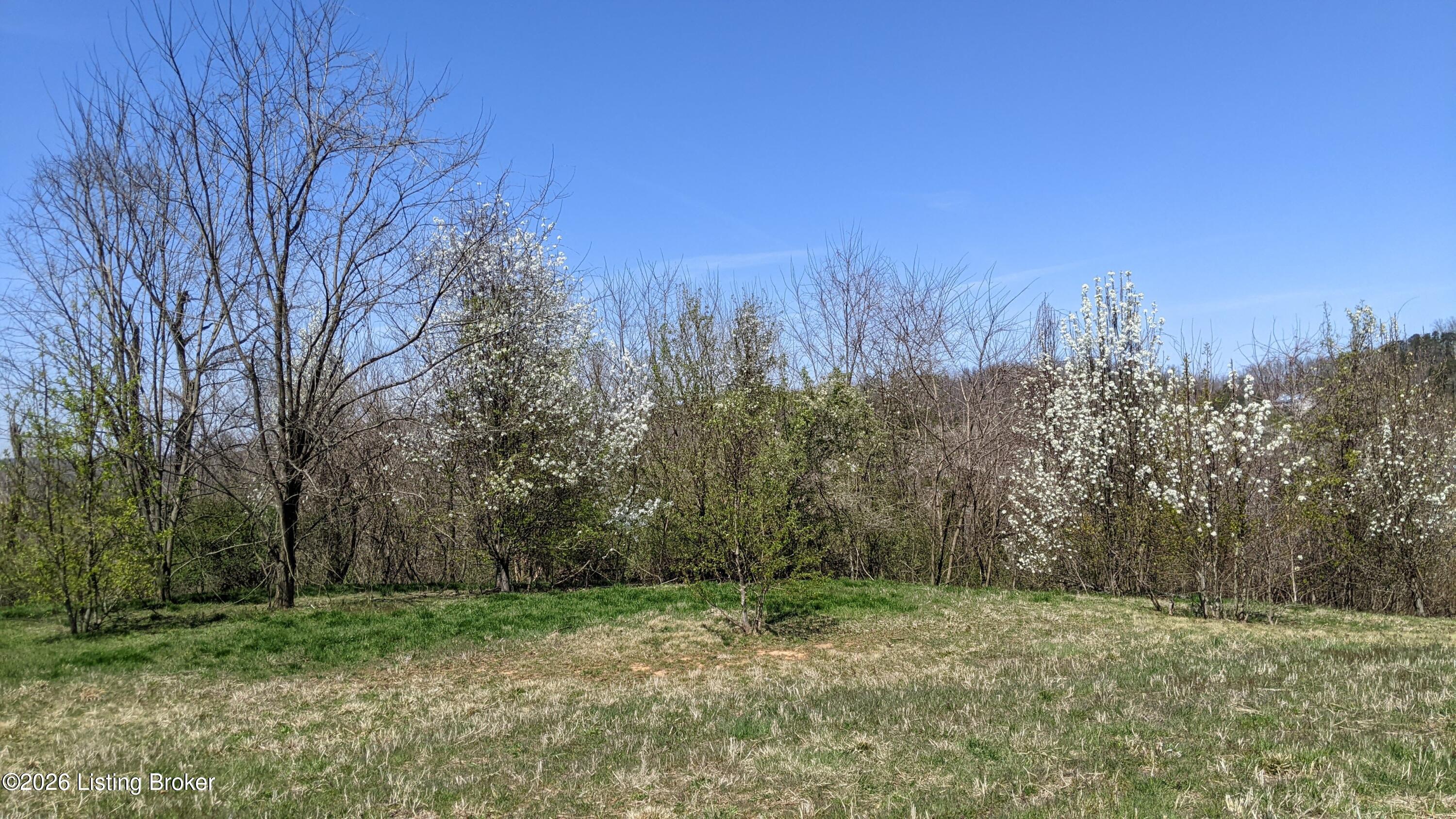 1265 N Buckman St Property Photo 6