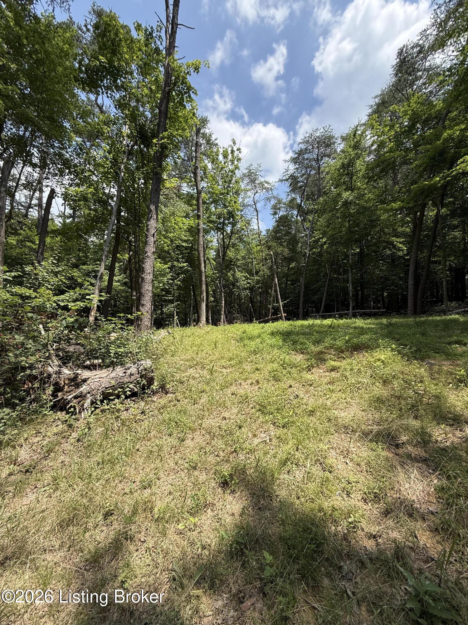 49 Pine Hurst Bay Property Photo 3