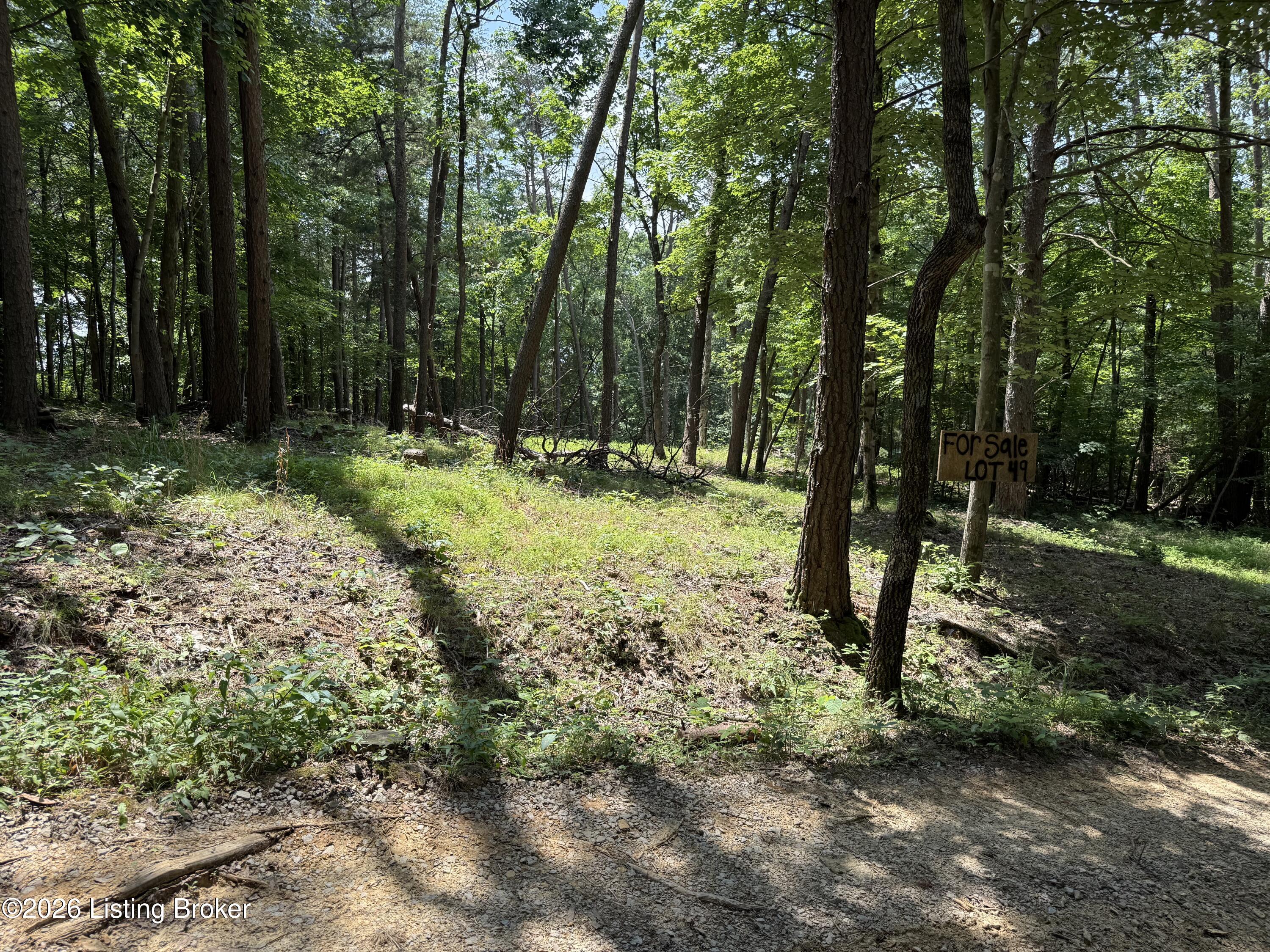 49 Pine Hurst Bay Property Photo 4