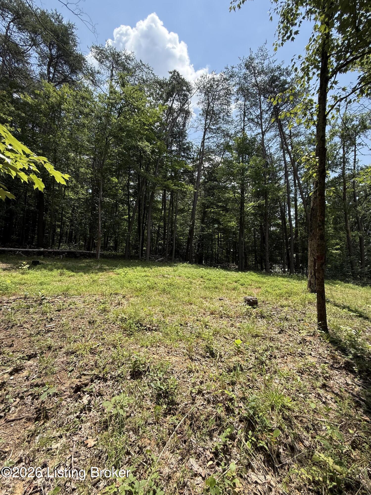 49 Pine Hurst Bay Property Photo 6