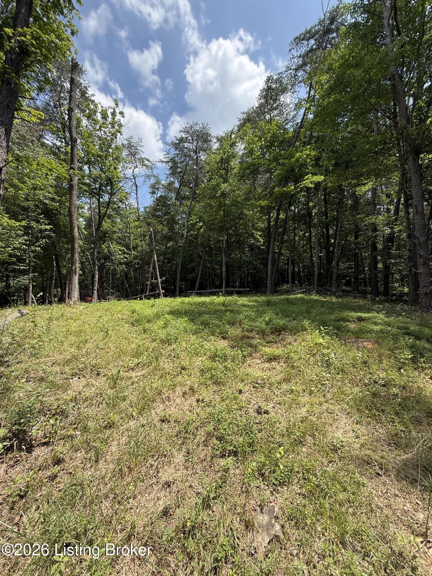 49 Pine Hurst Bay Property Photo 7