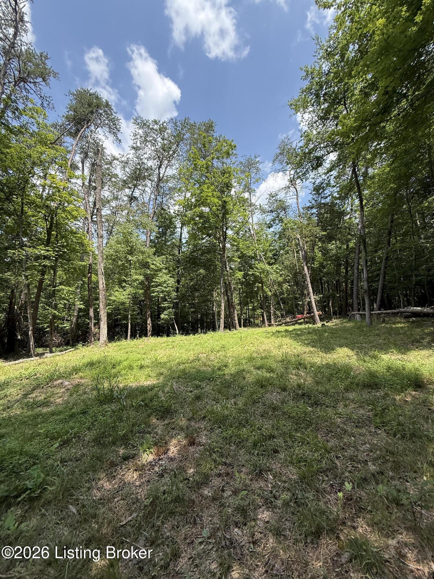 49 Pine Hurst Bay Property Photo 8