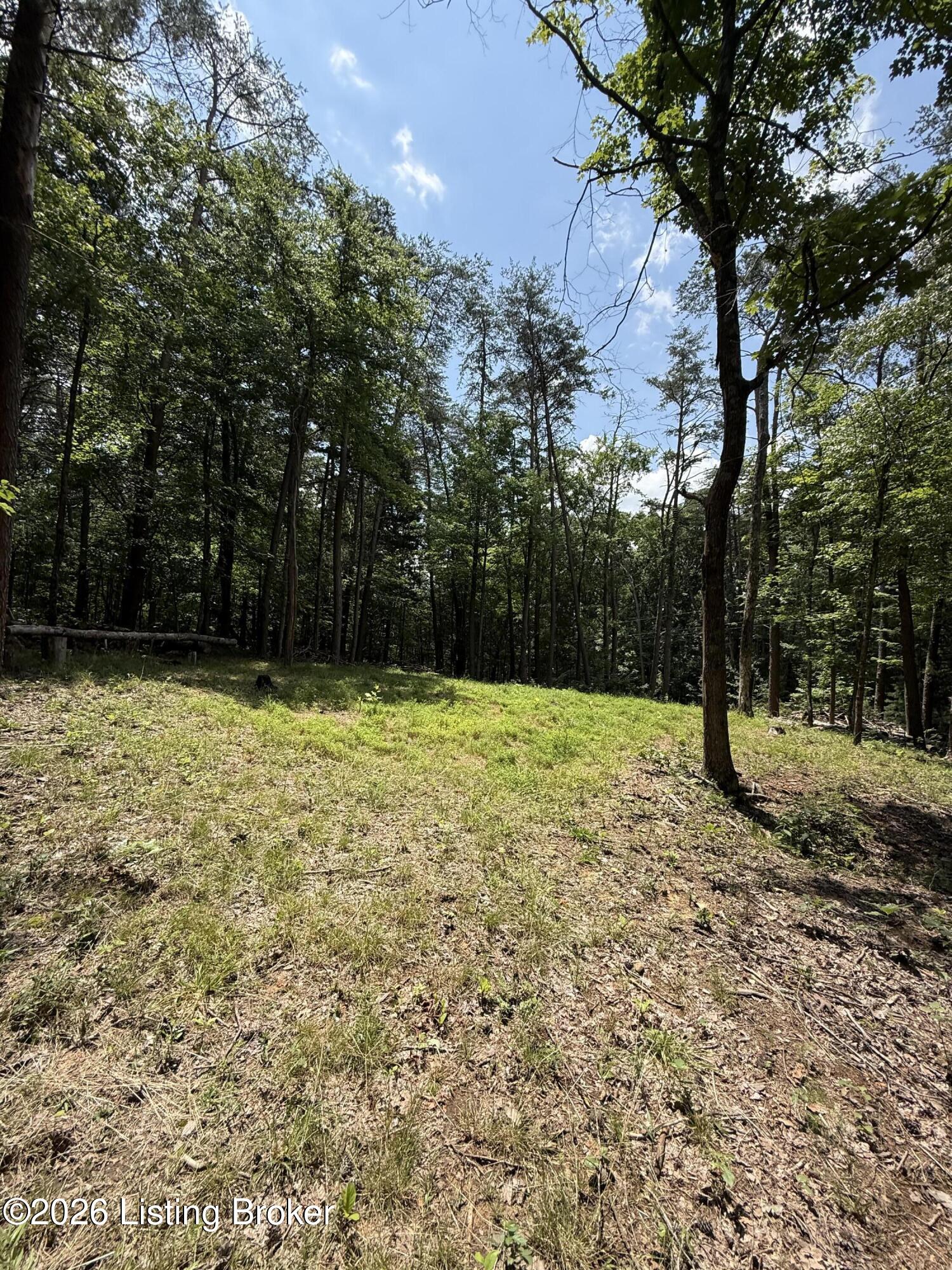 49 Pine Hurst Bay Property Photo 9