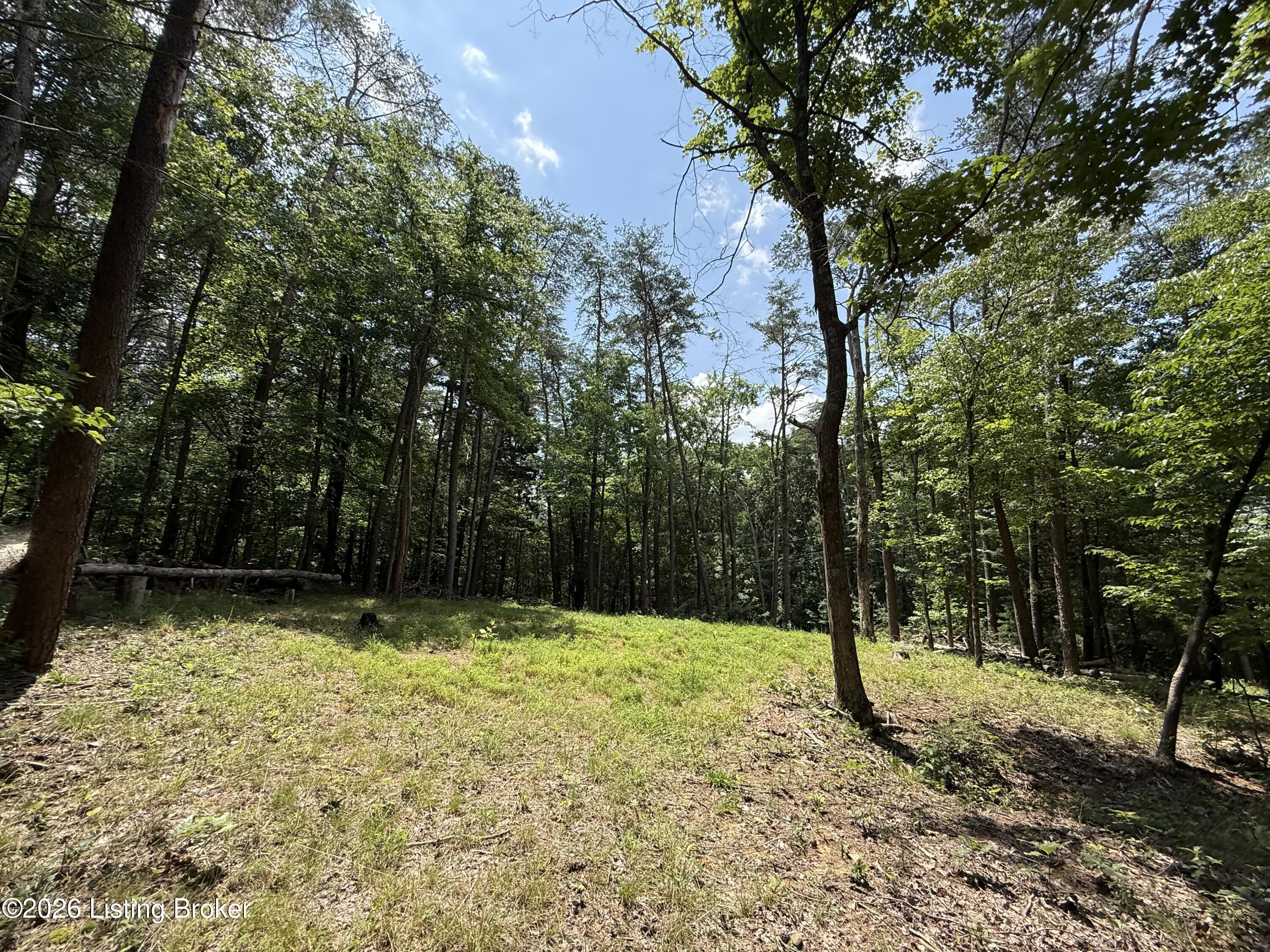 49 Pine Hurst Bay Property Photo 10