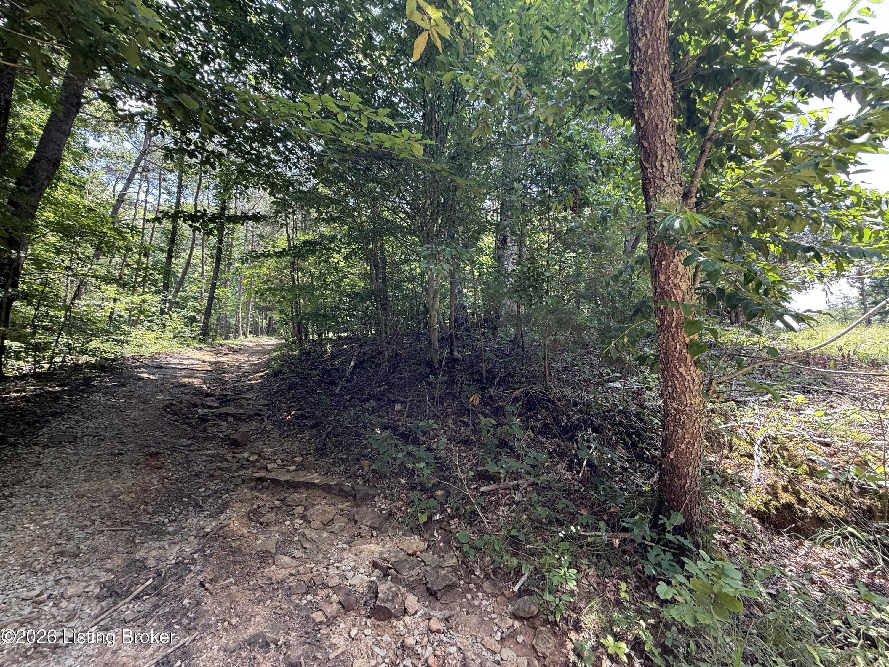 49 Pine Hurst Bay Property Photo 11