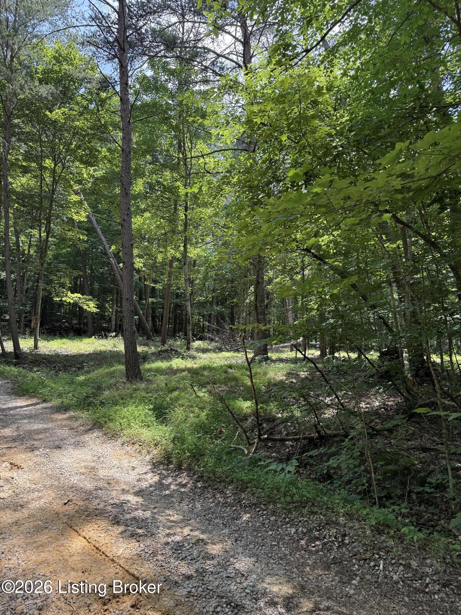 49 Pine Hurst Bay Property Photo 12