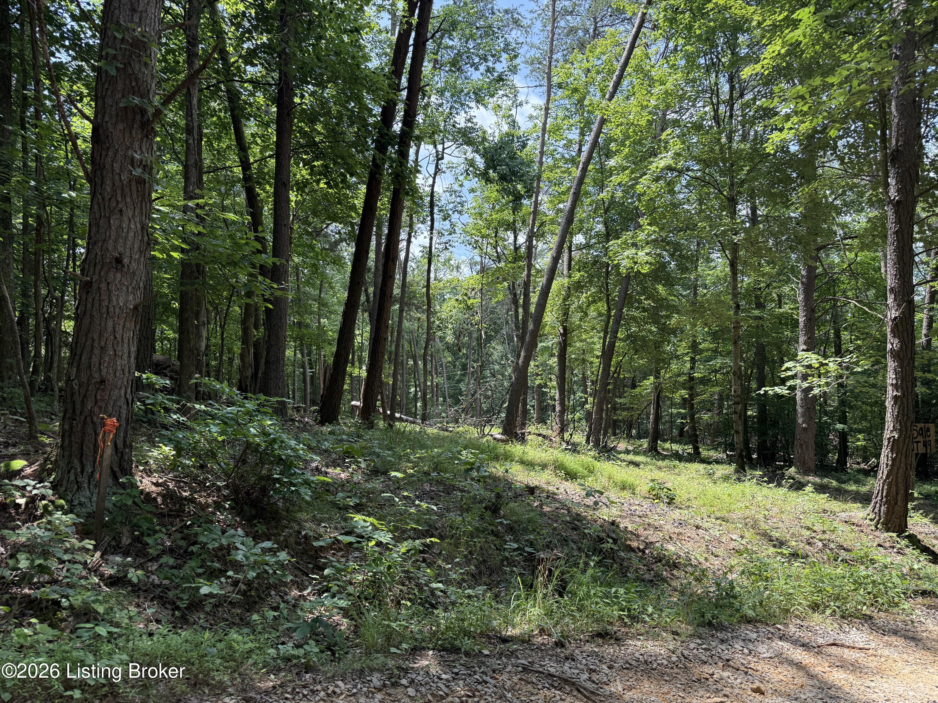 49 Pine Hurst Bay Property Photo 13
