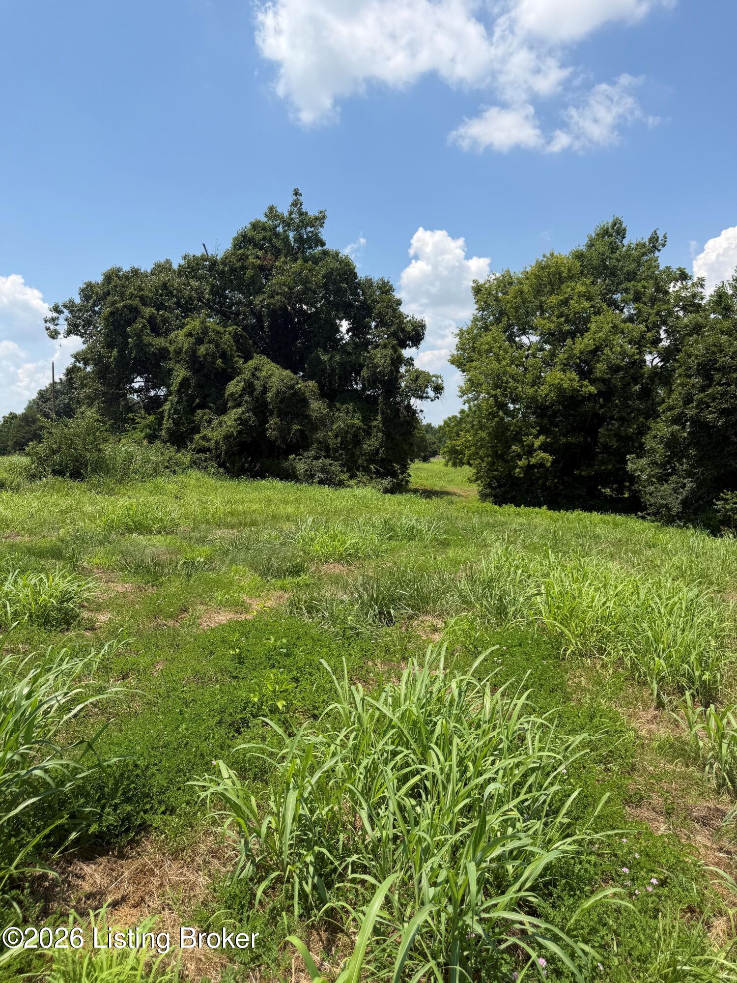 10321 Oak Grove Rd Property Photo 2